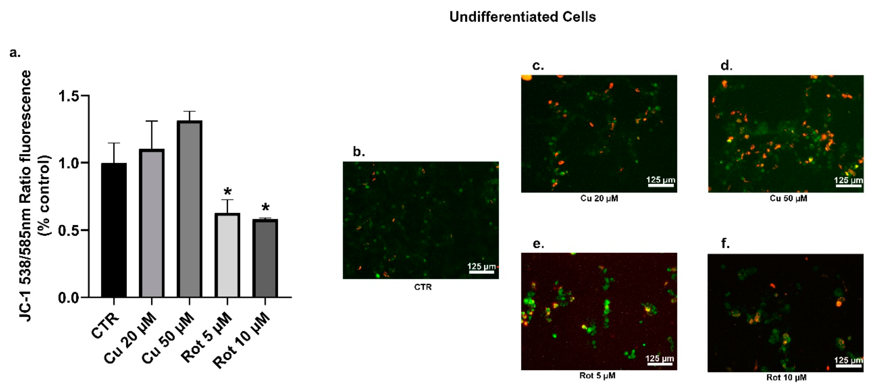 Ijms 22 02038 g012 Ijms 22 02038 g012