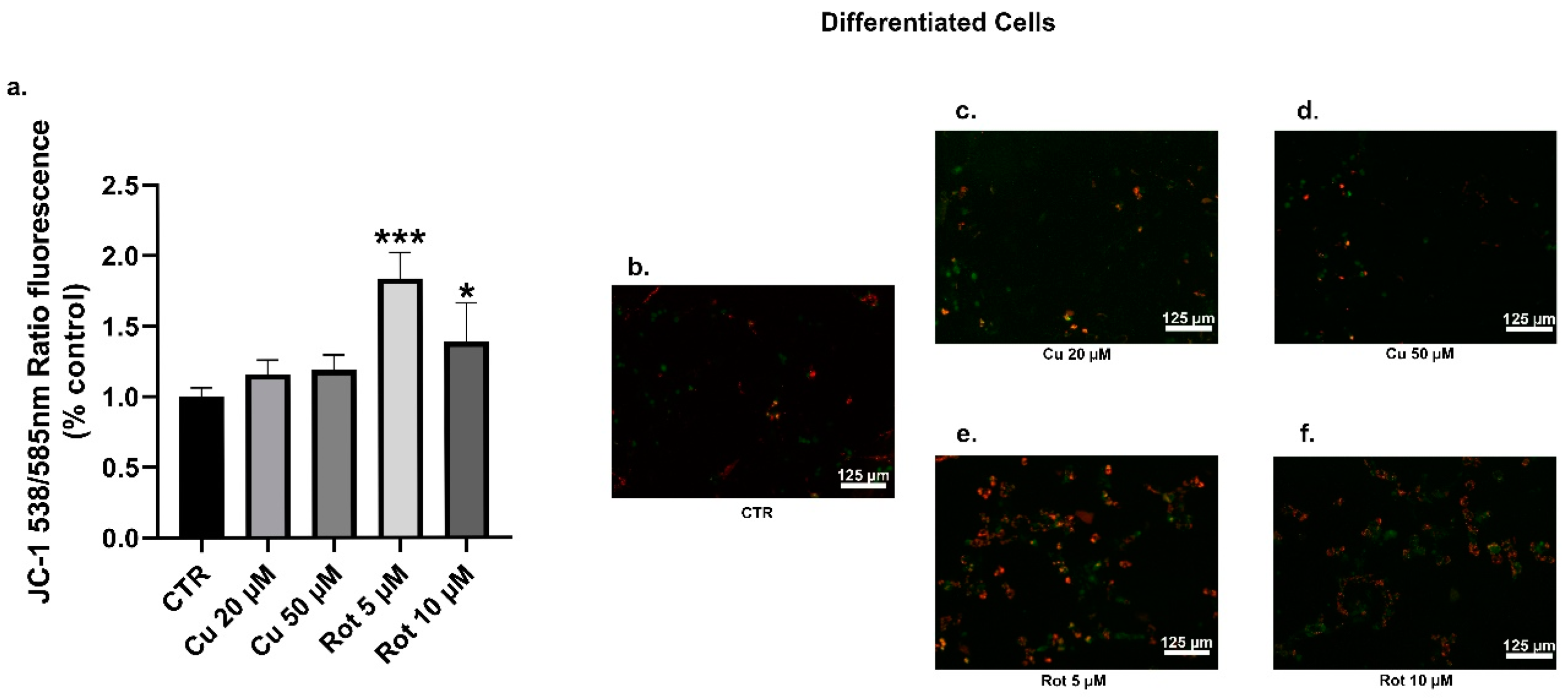 Ijms 22 02038 g013 Ijms 22 02038 g013