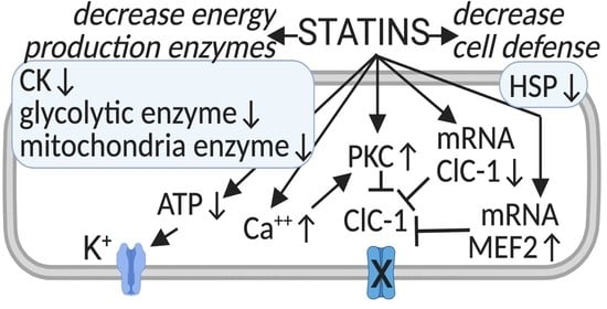 IJMS | Free Full-Text | Statin-Induced Myopathy: Translational Studies from  Preclinical to Clinical Evidence