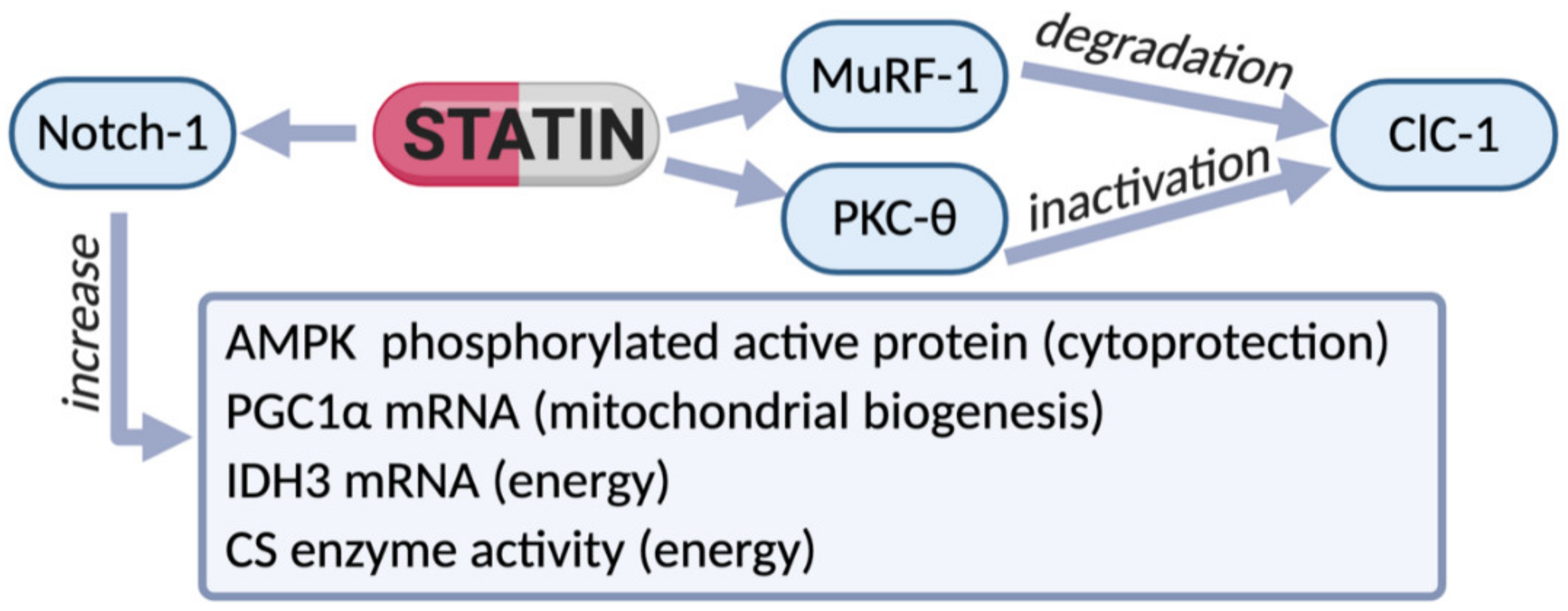 Ijms 22 02070 g002 Ijms 22 02070 g002