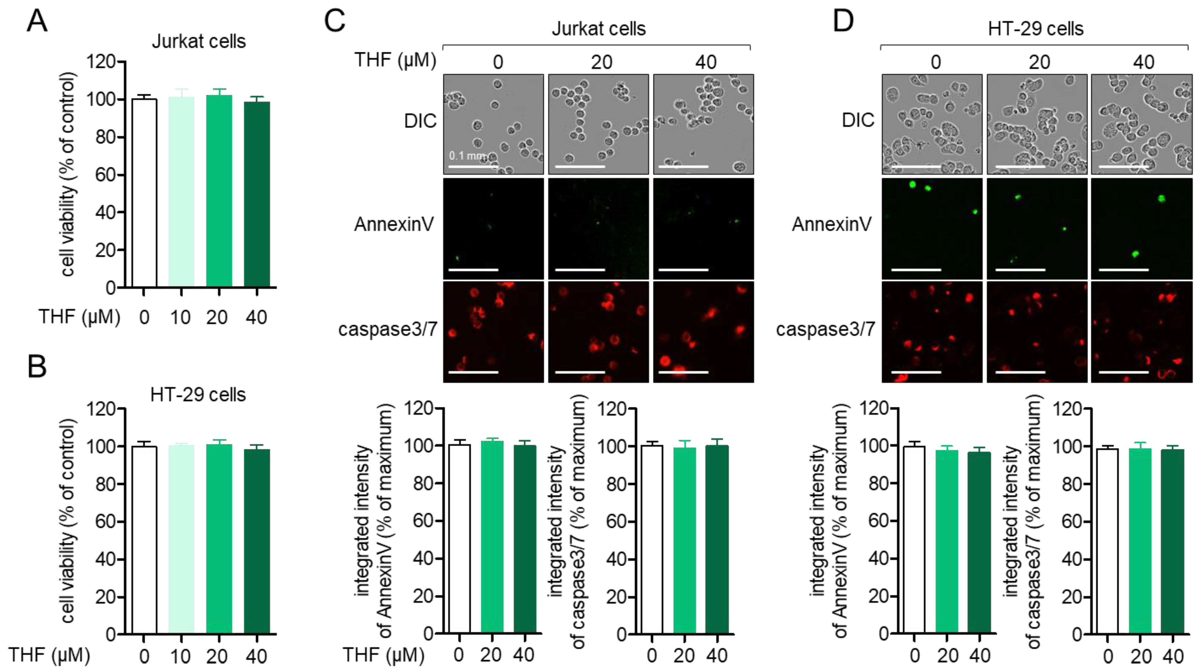Ijms 22 02083 g002 Ijms 22 02083 g002