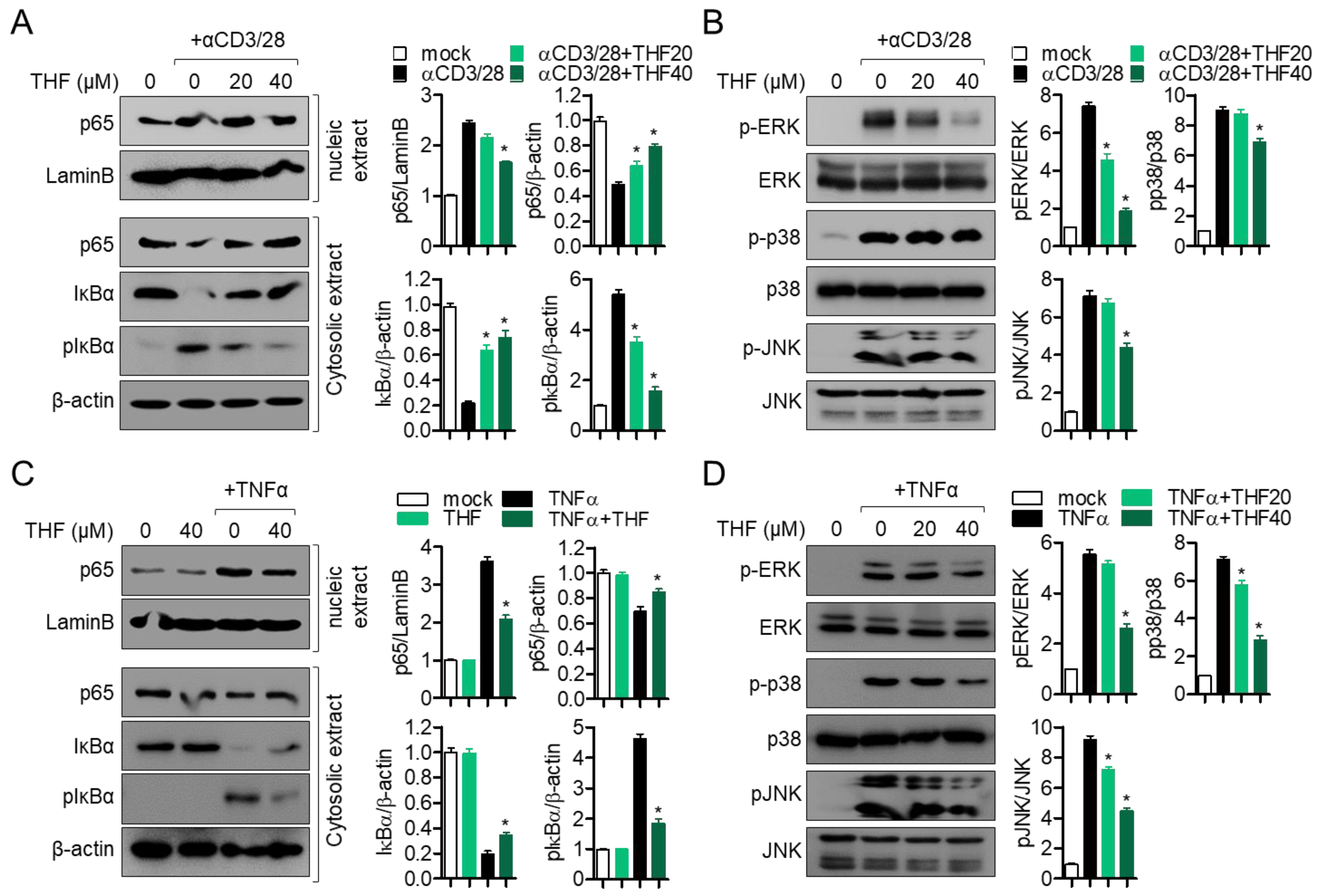 Ijms 22 02083 g004 Ijms 22 02083 g004