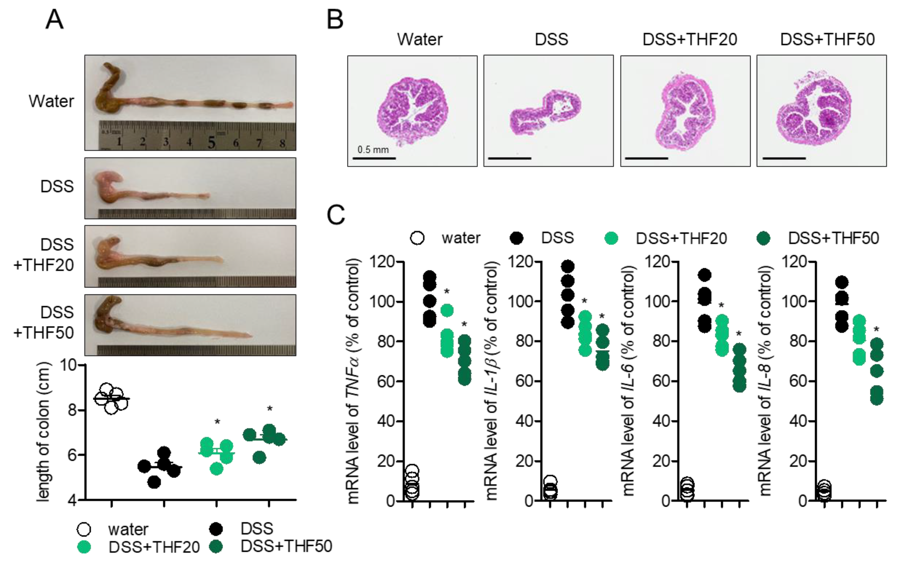Ijms 22 02083 g006 Ijms 22 02083 g006