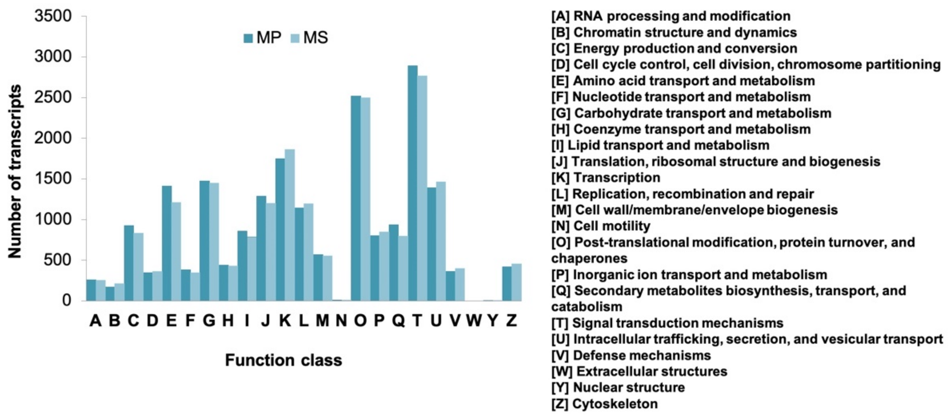 Ijms 22 02085 g006 Ijms 22 02085 g006