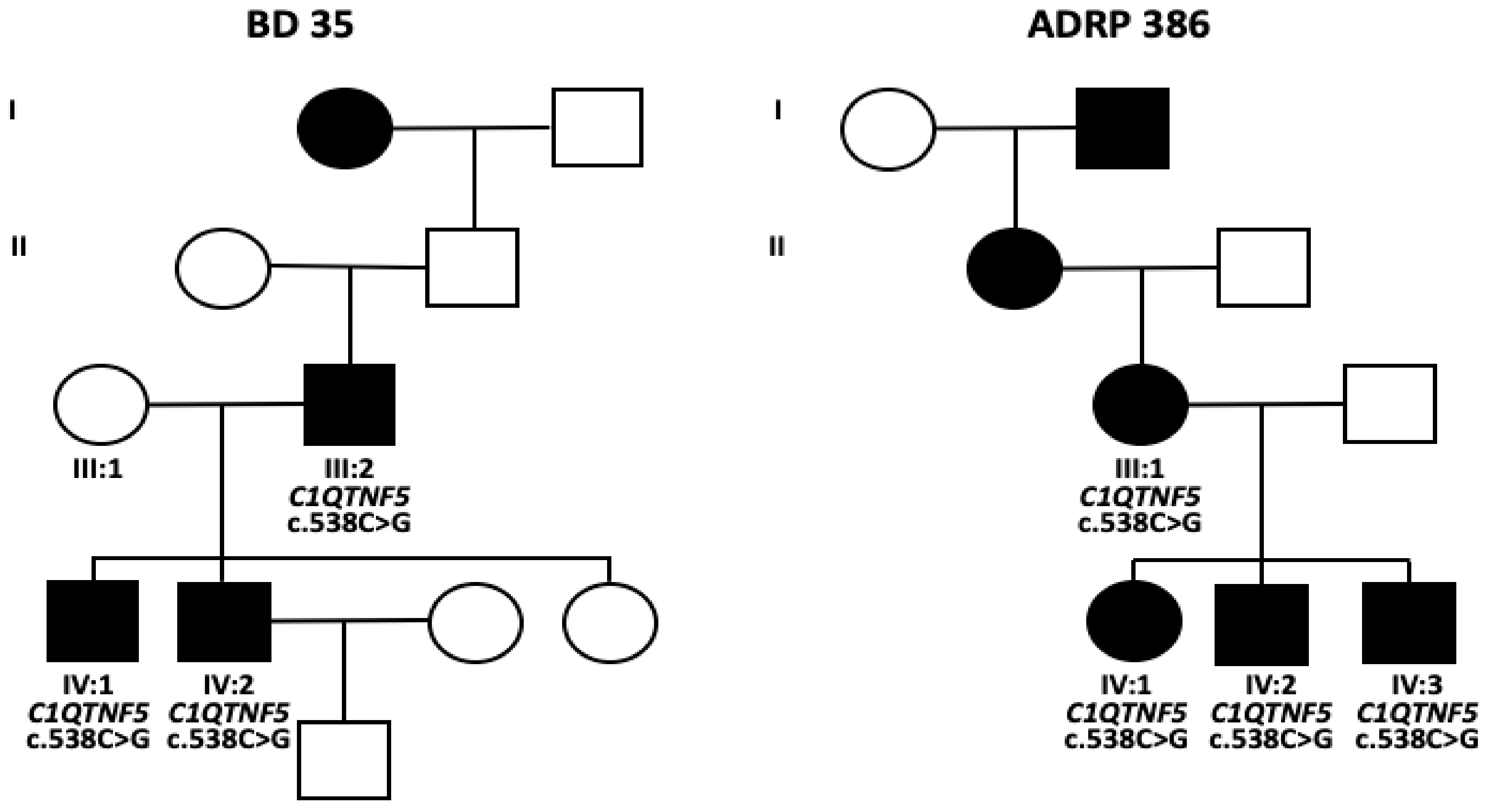 Ijms 22 02089 g002 Ijms 22 02089 g002