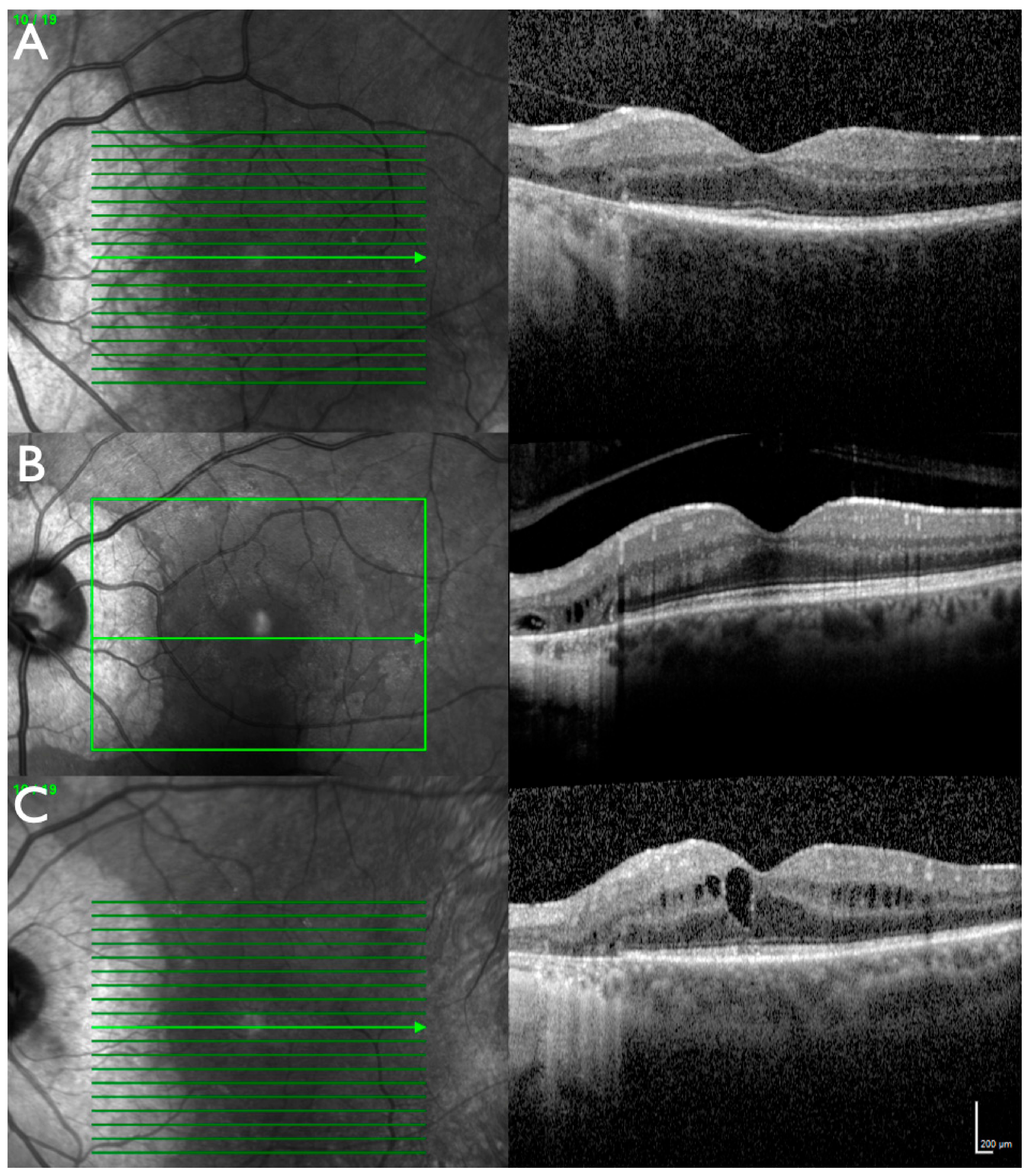 Ijms 22 02089 g005 Ijms 22 02089 g005