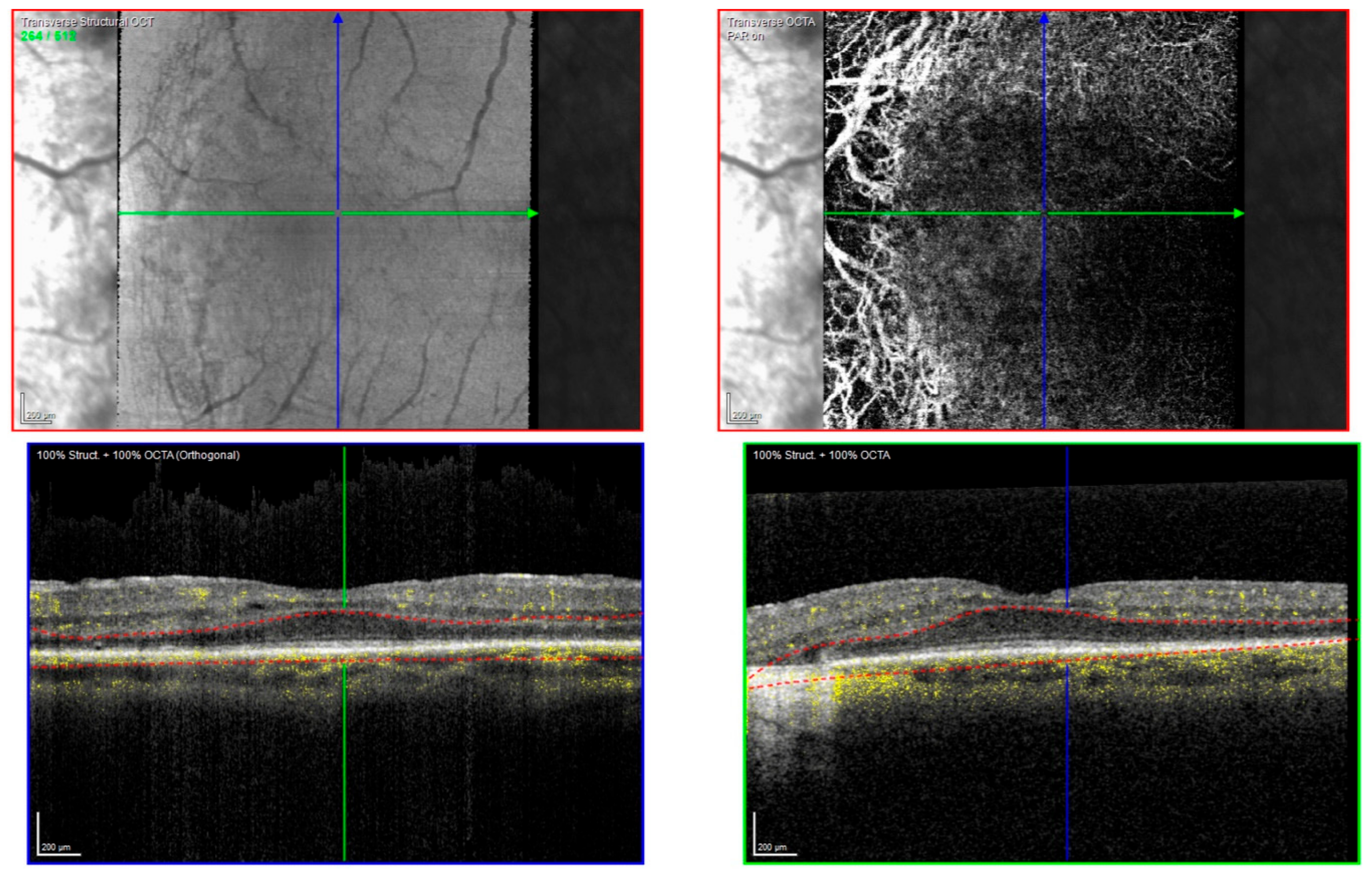 Ijms 22 02089 g006 Ijms 22 02089 g006