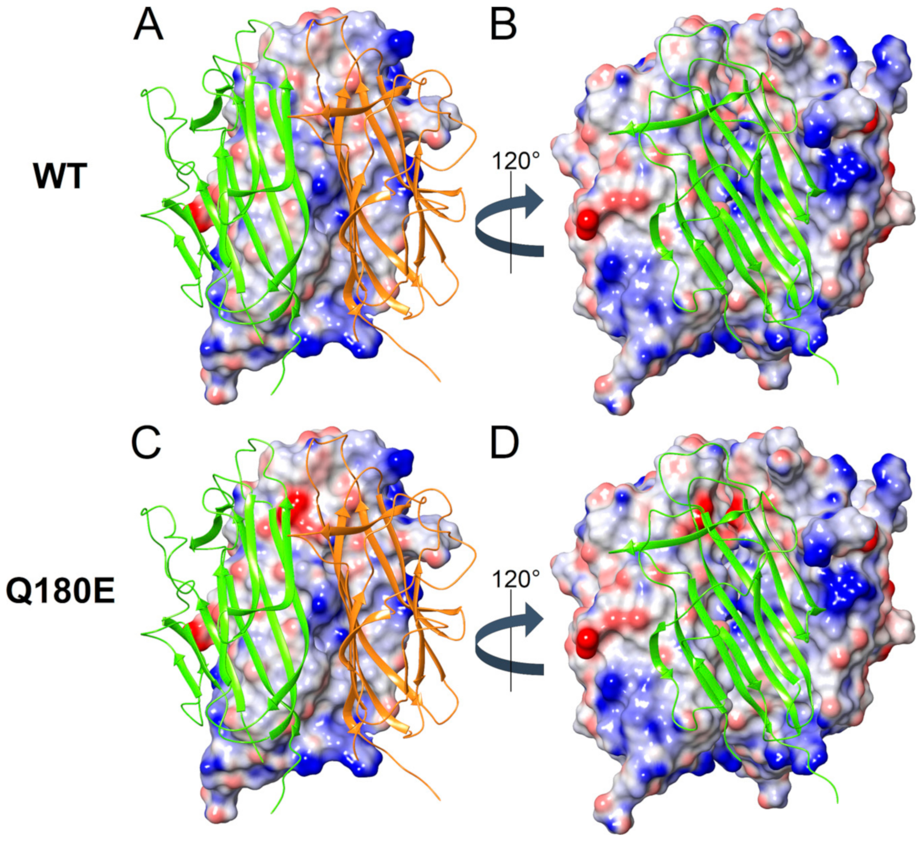 Ijms 22 02089 g009 Ijms 22 02089 g009