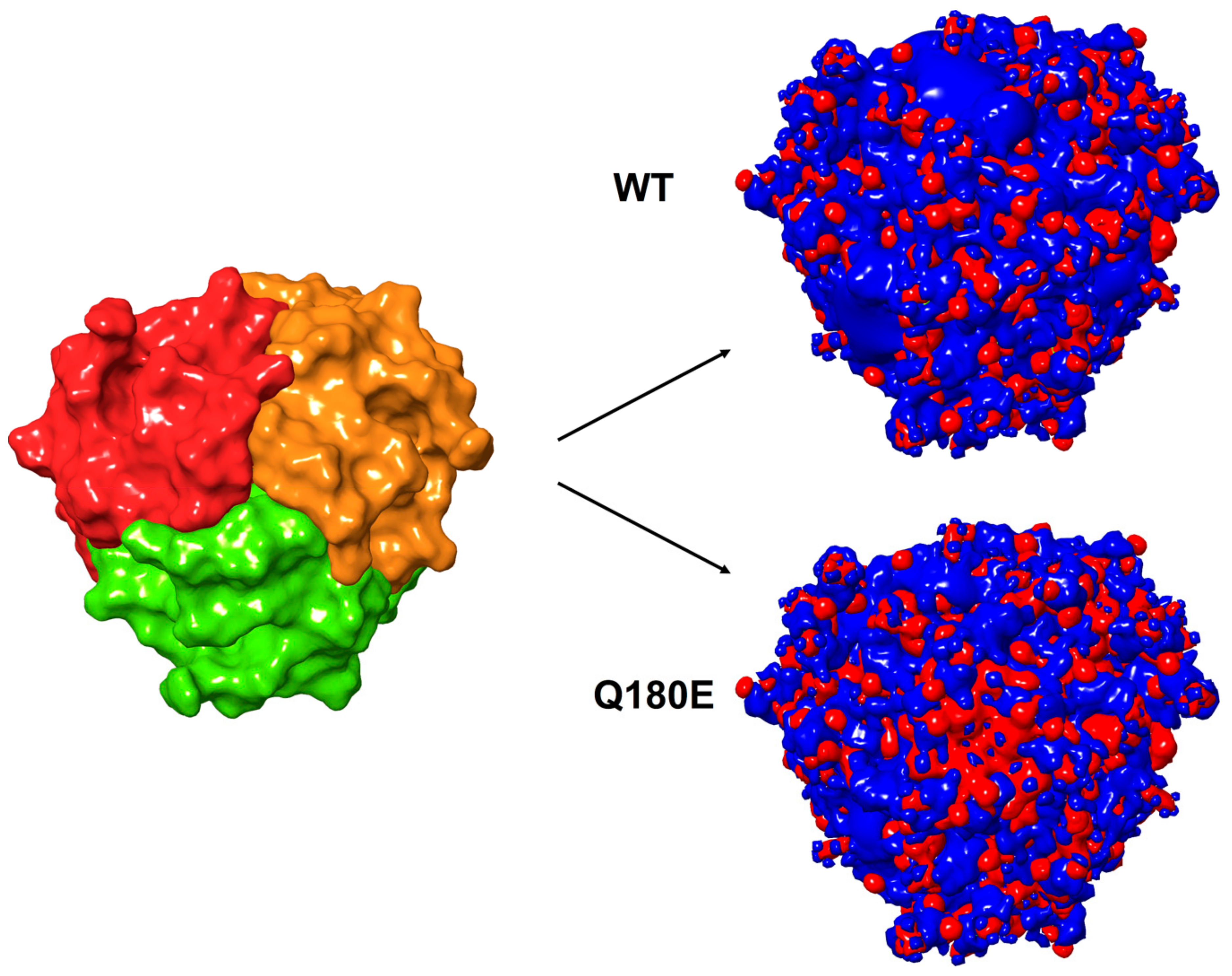 Ijms 22 02089 g010 Ijms 22 02089 g010