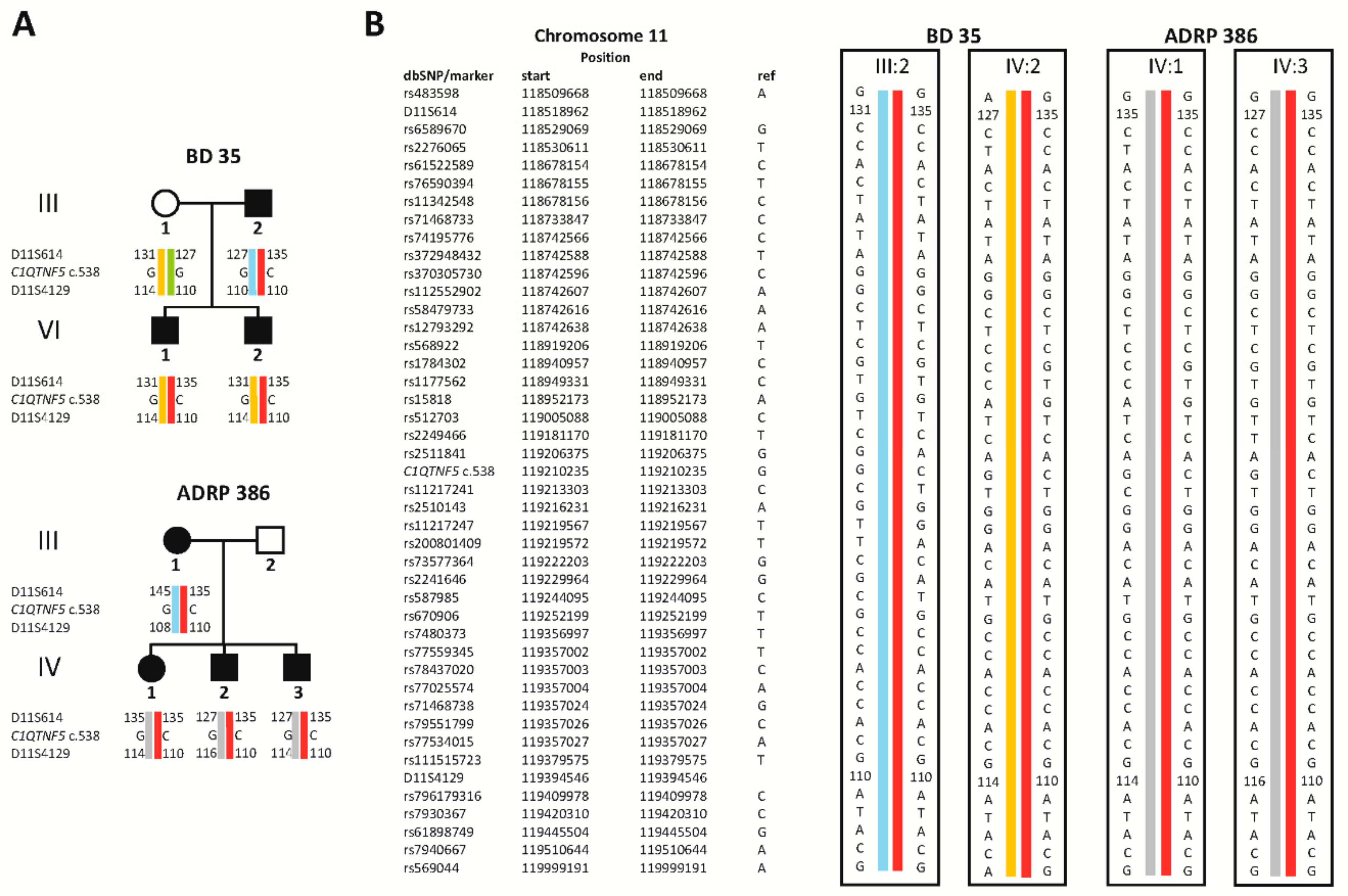 Ijms 22 02089 g0a1 Ijms 22 02089 g0a1