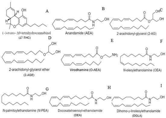 Cannabinoid Science 101: What is Anandamide (AEA)? - Sensi Seeds
