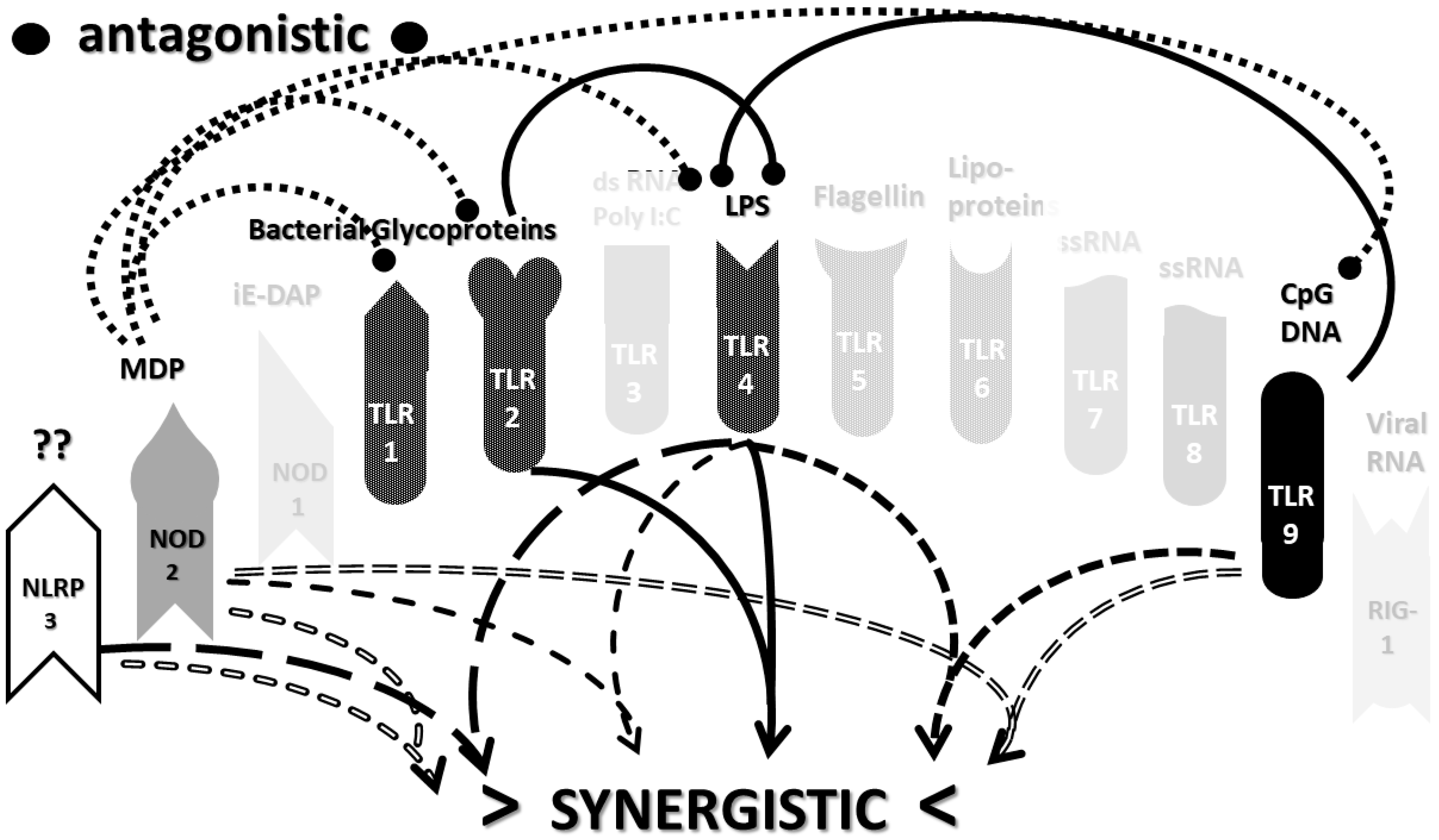 Ijms Free Full Text Innate Receptor Activation Patterns Involving Tlr And Nlr Synergisms In Covid 19 Ali Ards And Sepsis Cytokine Storms A Review And Model Making Novel Predictions And Therapeutic Suggestions