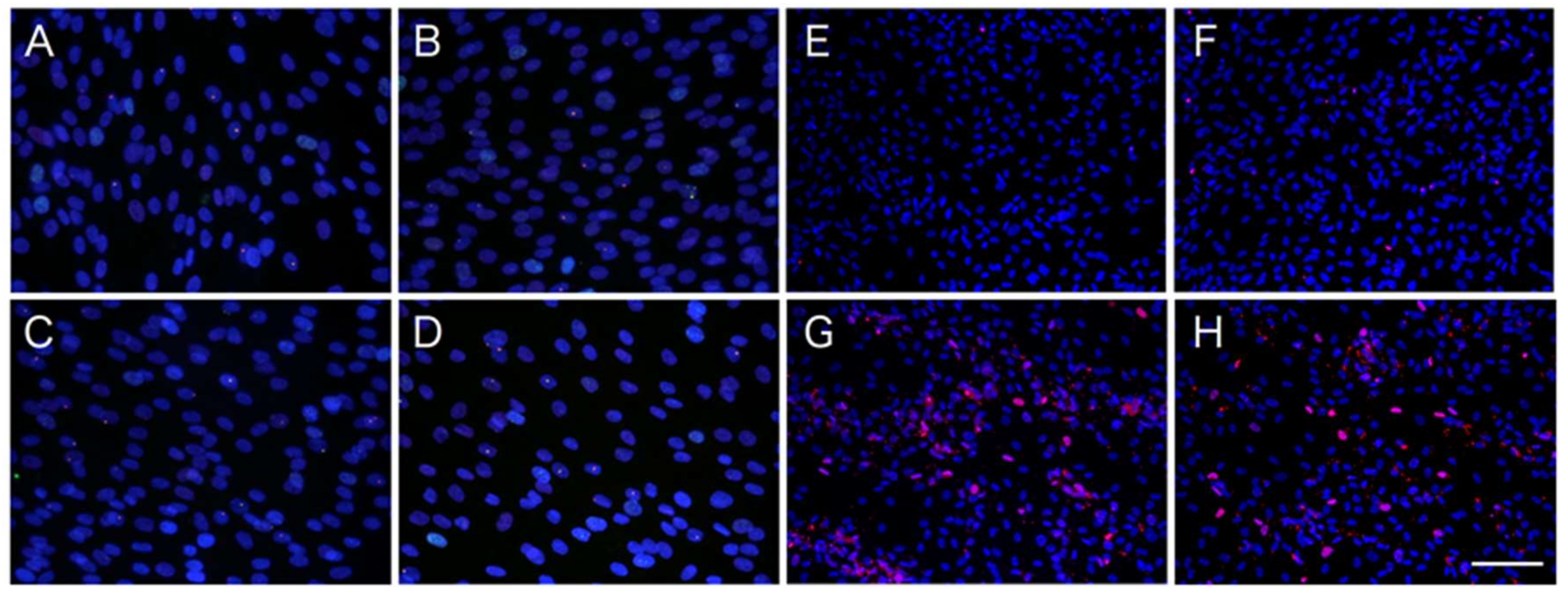 Ijms 22 02114 g004 Ijms 22 02114 g004