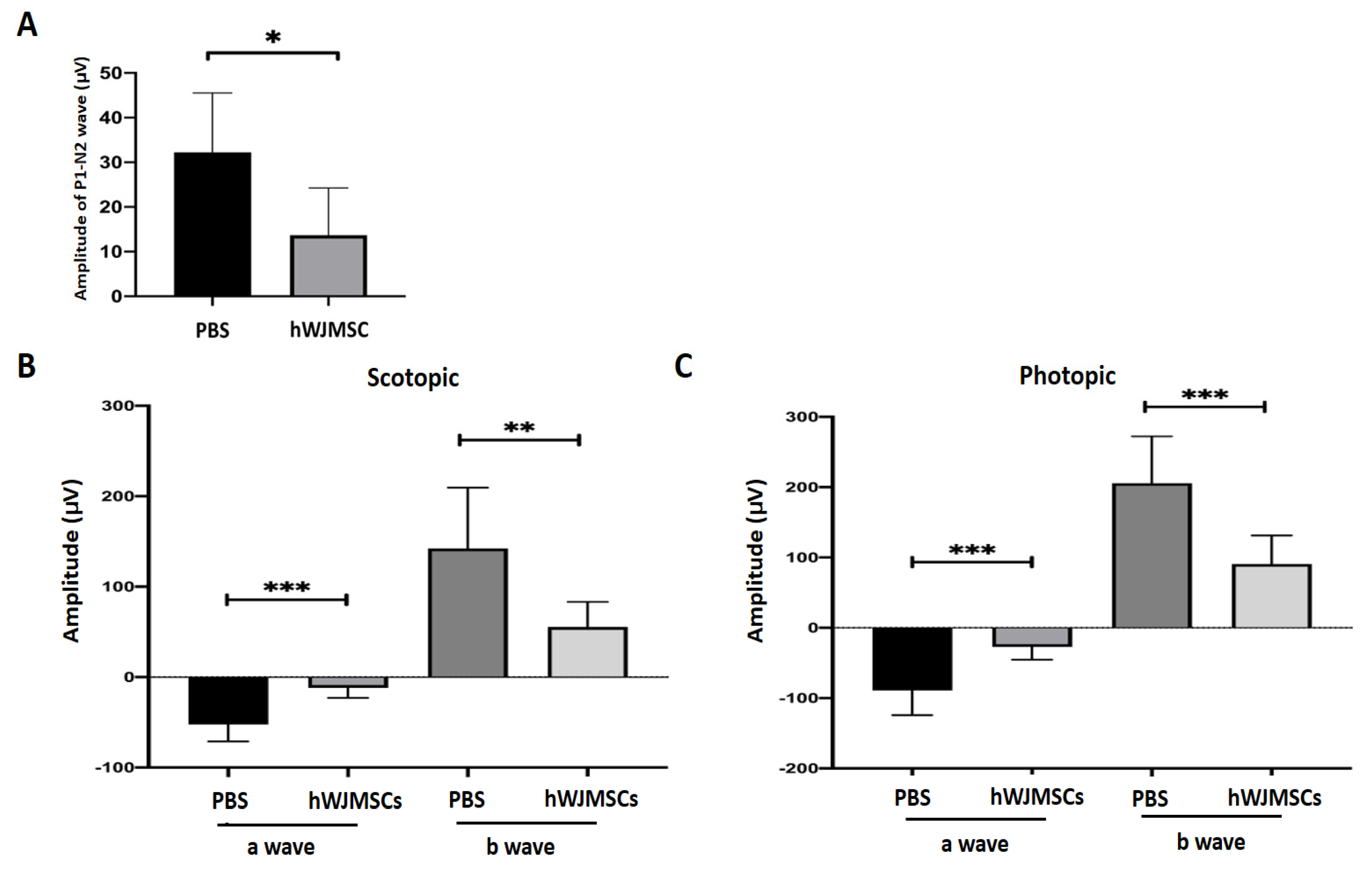 Ijms 22 02117 g002 Ijms 22 02117 g002