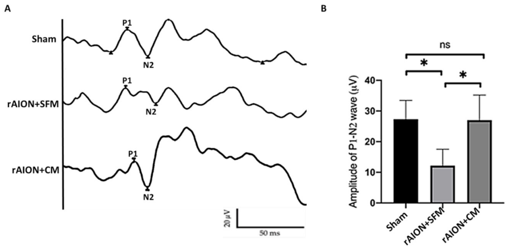 Ijms 22 02117 g006 Ijms 22 02117 g006