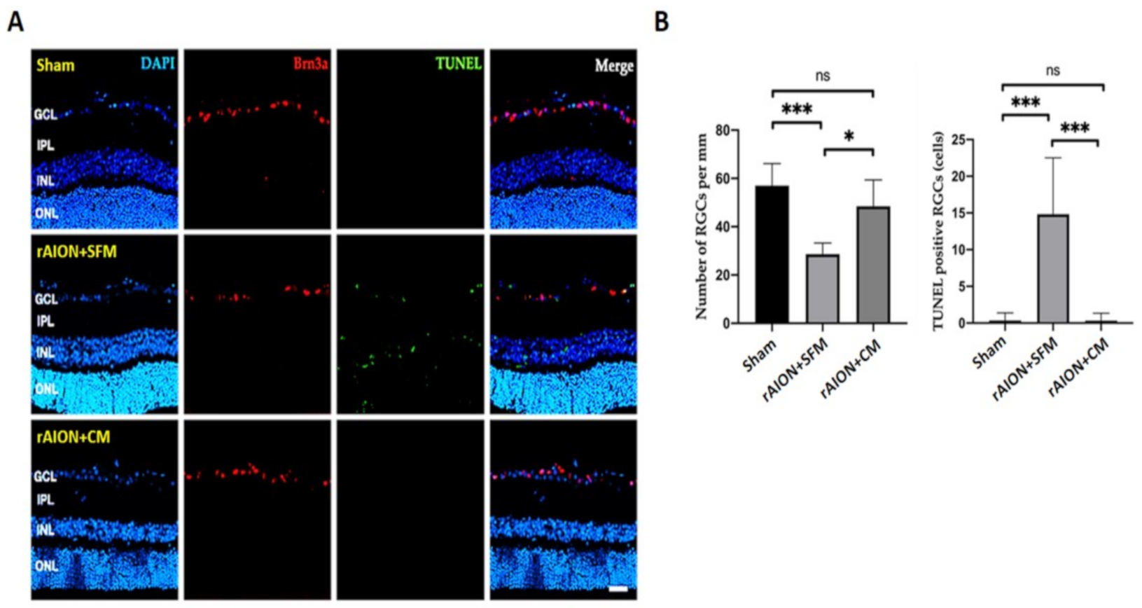 Ijms 22 02117 g007 Ijms 22 02117 g007