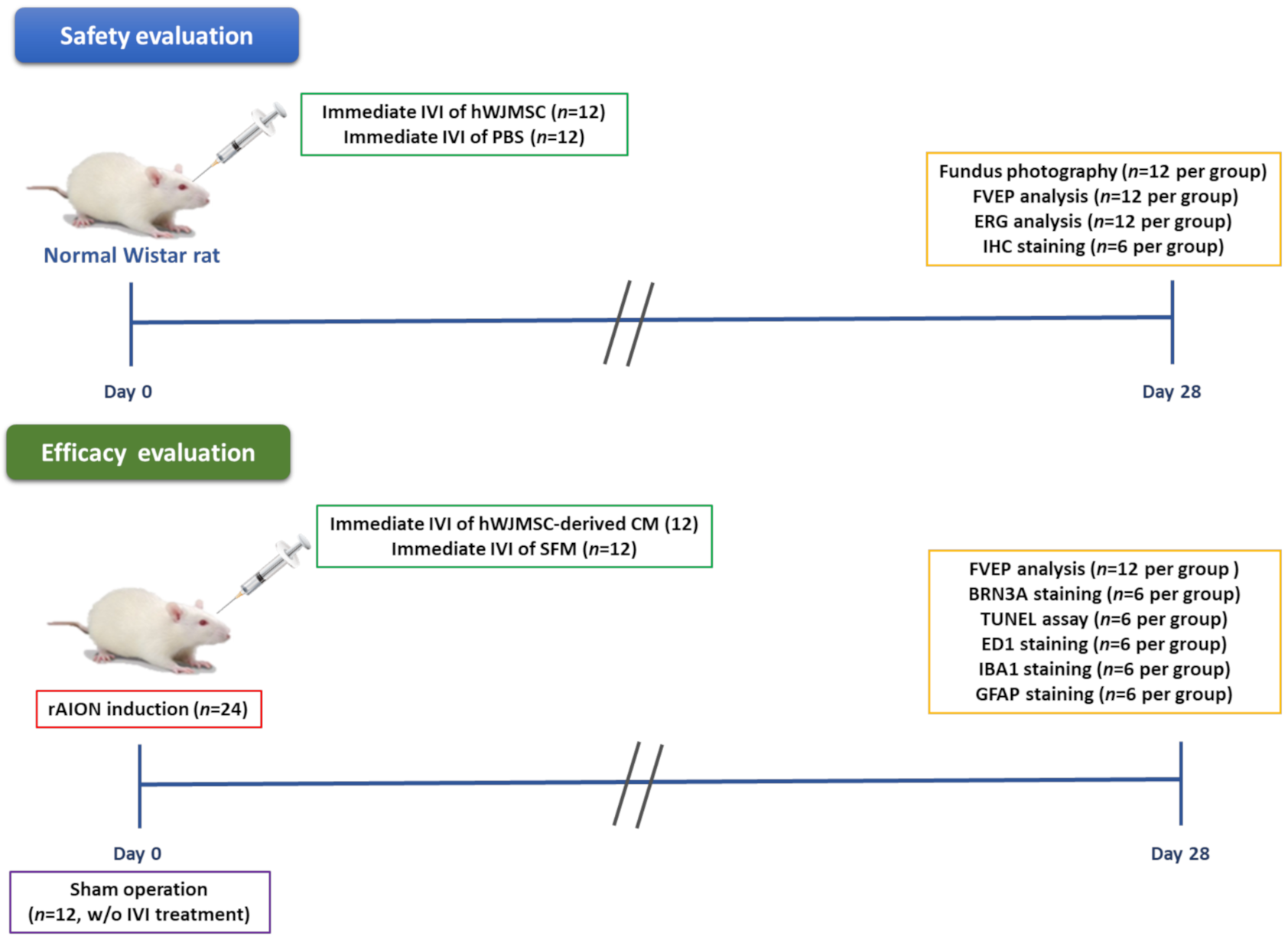 Ijms 22 02117 g009 Ijms 22 02117 g009