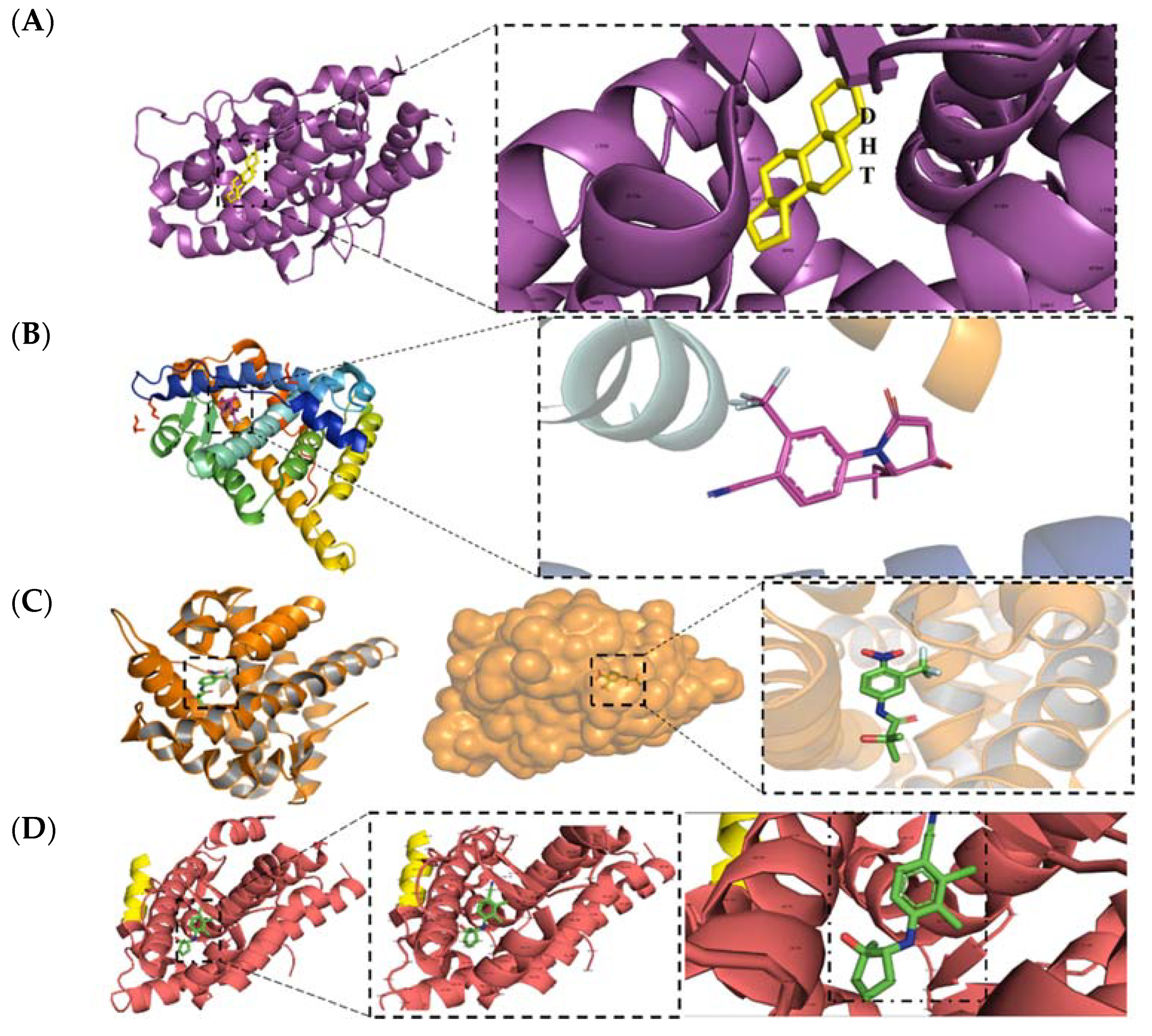 Ijms 22 02124 g002 Ijms 22 02124 g002