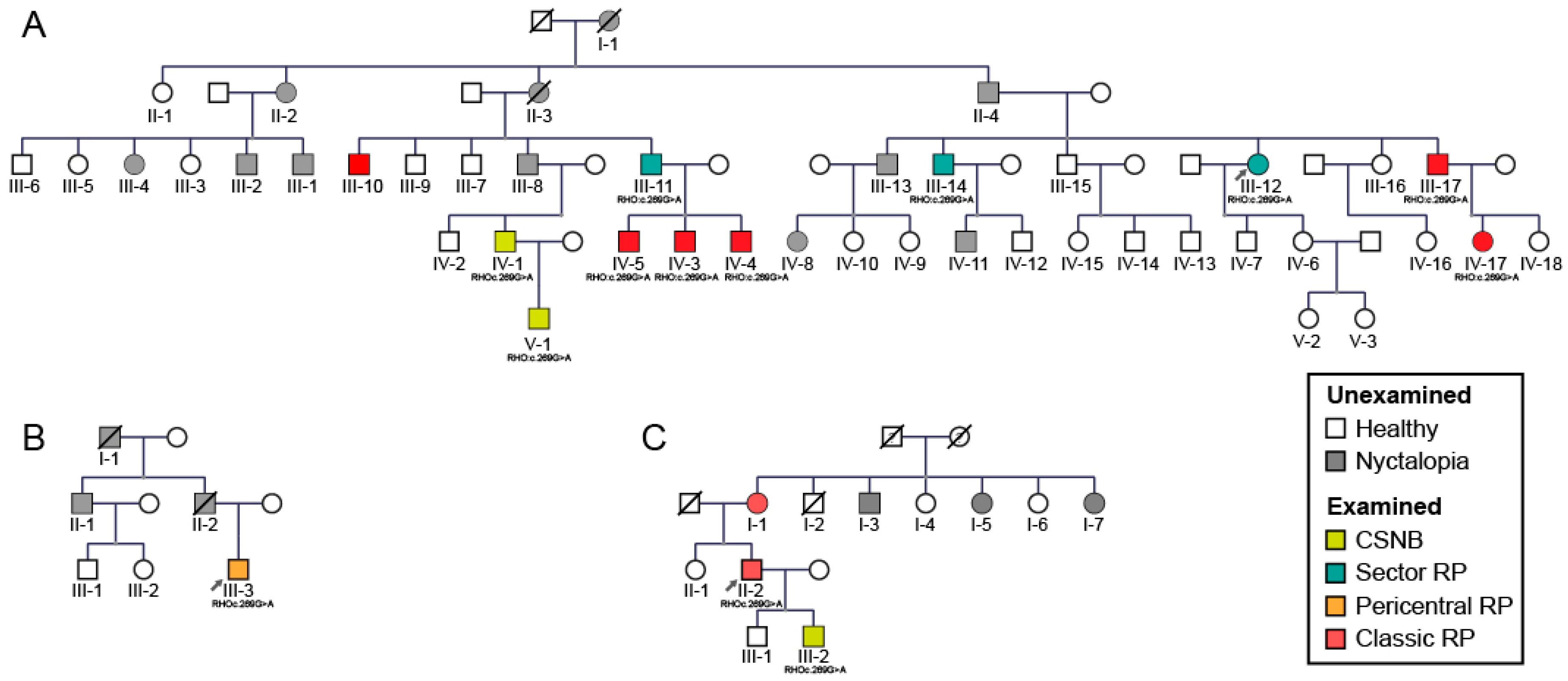 Ijms 22 02133 g001 Ijms 22 02133 g001