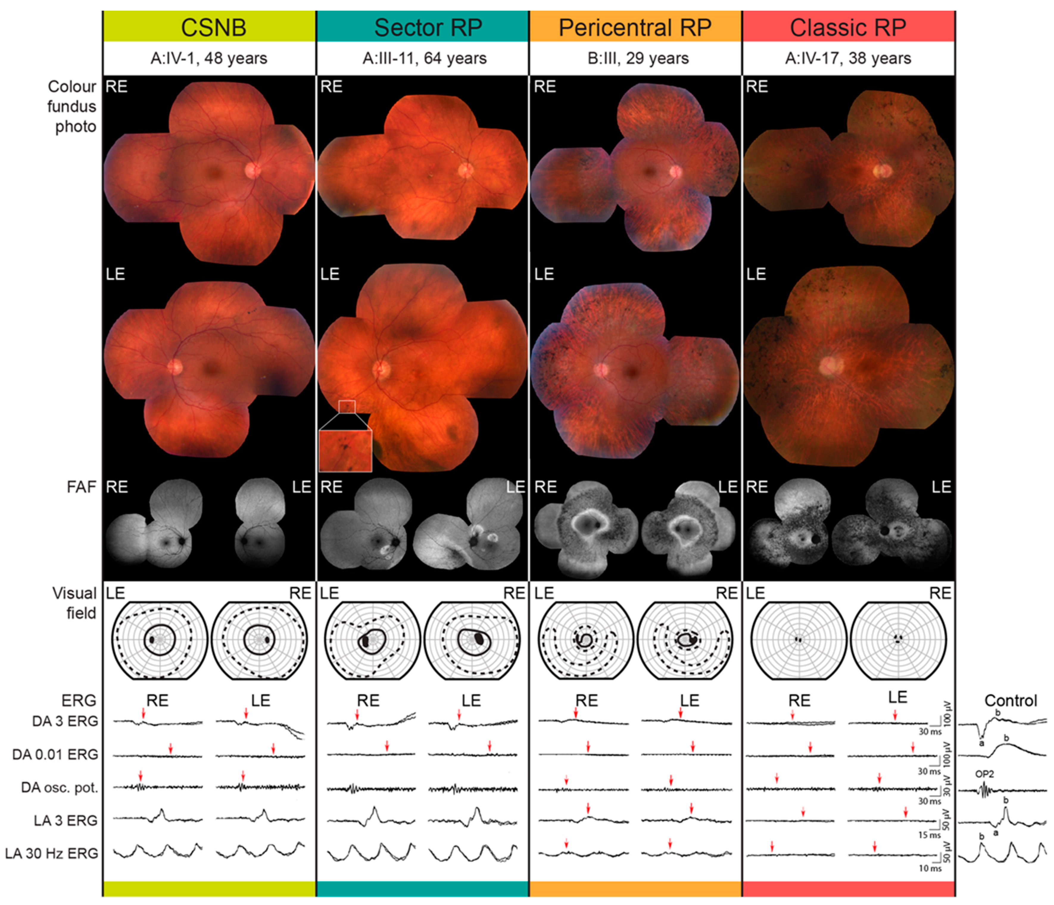 Ijms 22 02133 g003 Ijms 22 02133 g003