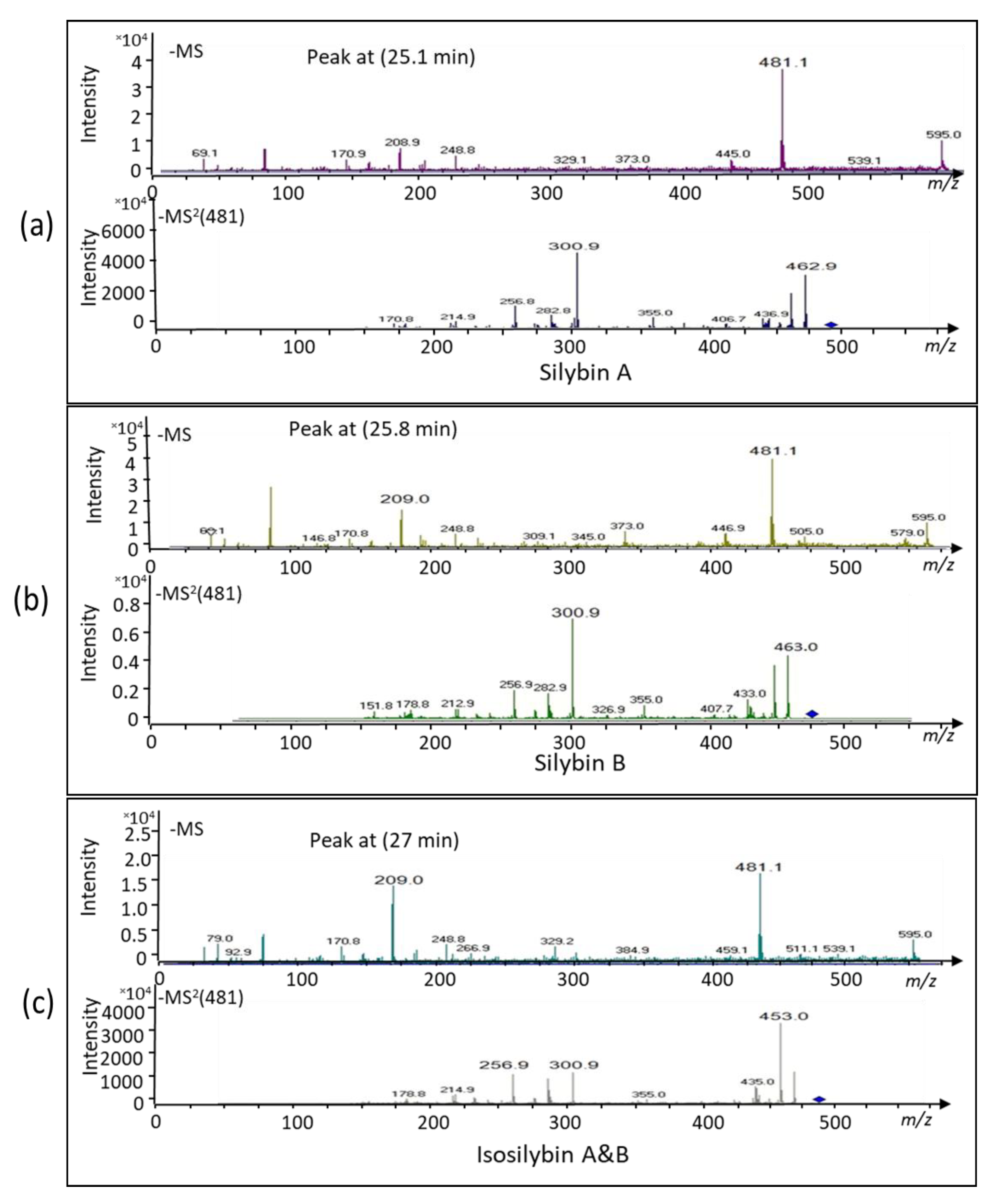 Ijms 22 02149 g004 Ijms 22 02149 g004