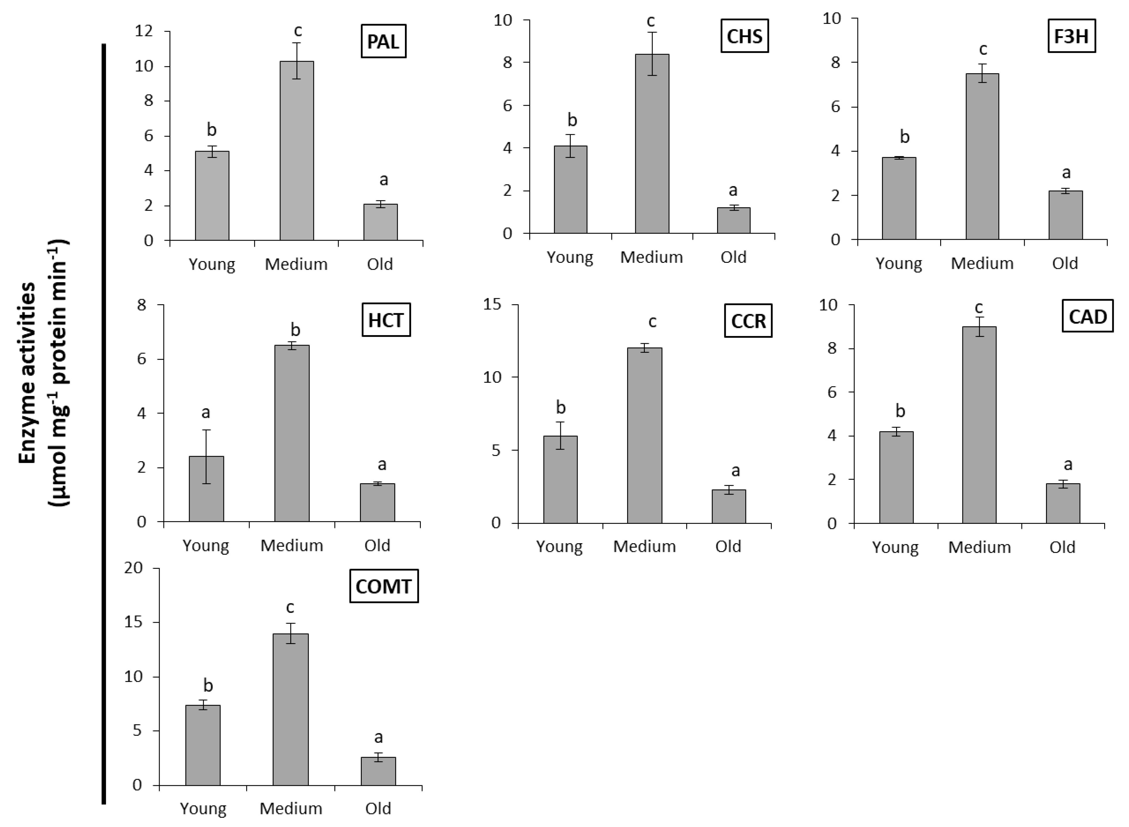 Ijms 22 02149 g008 Ijms 22 02149 g008