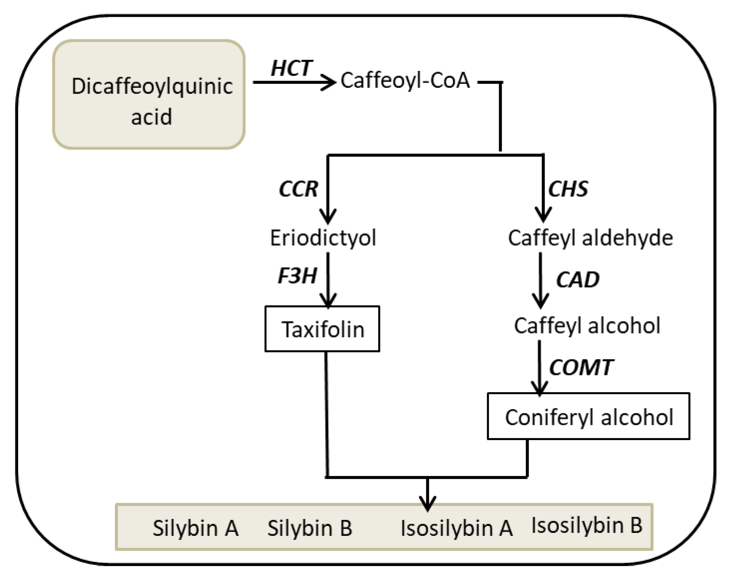 Ijms 22 02149 g009 Ijms 22 02149 g009