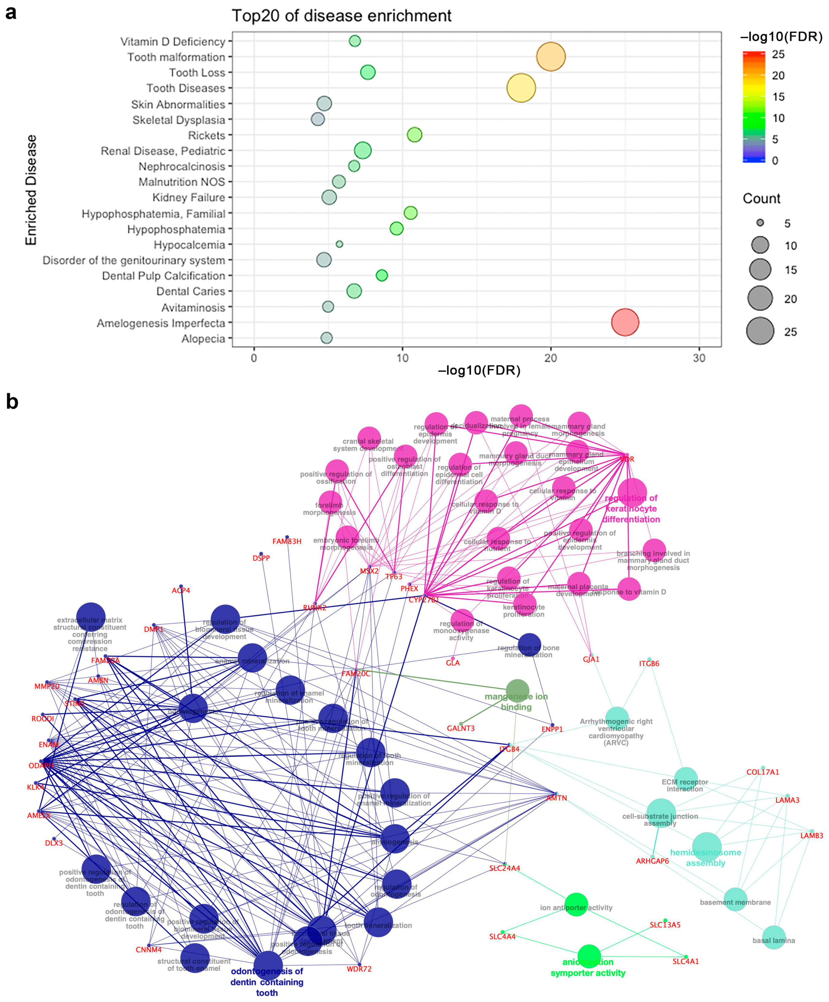 Ijms 22 02202 g003 Ijms 22 02202 g003