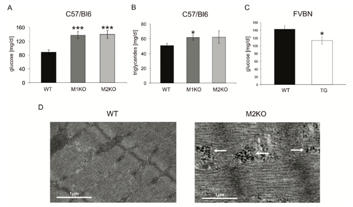 Ijms 22 02225 g001 Ijms 22 02225 g001
