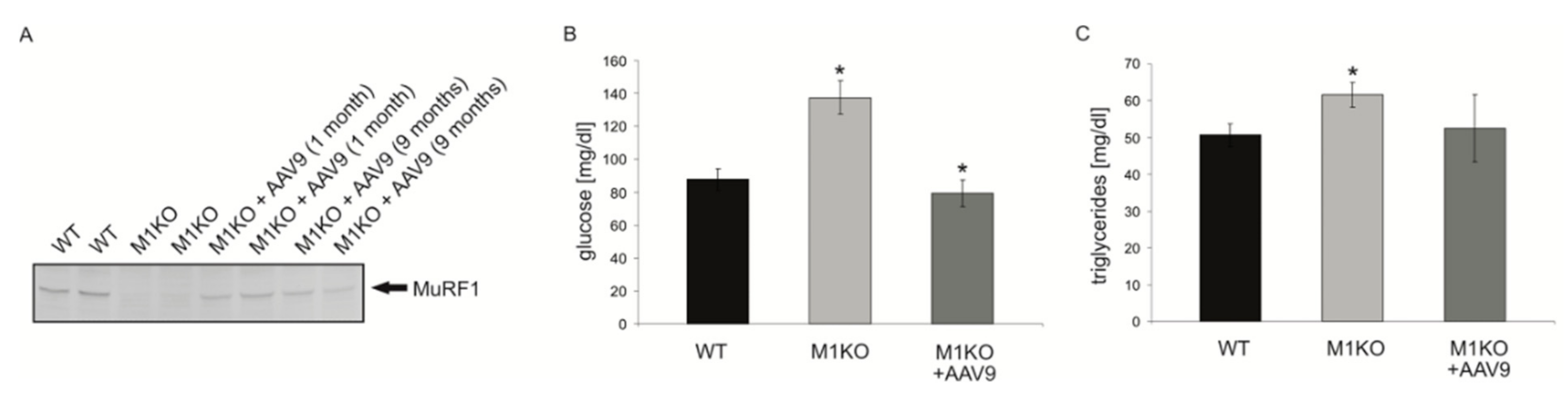 Ijms 22 02225 g005 Ijms 22 02225 g005