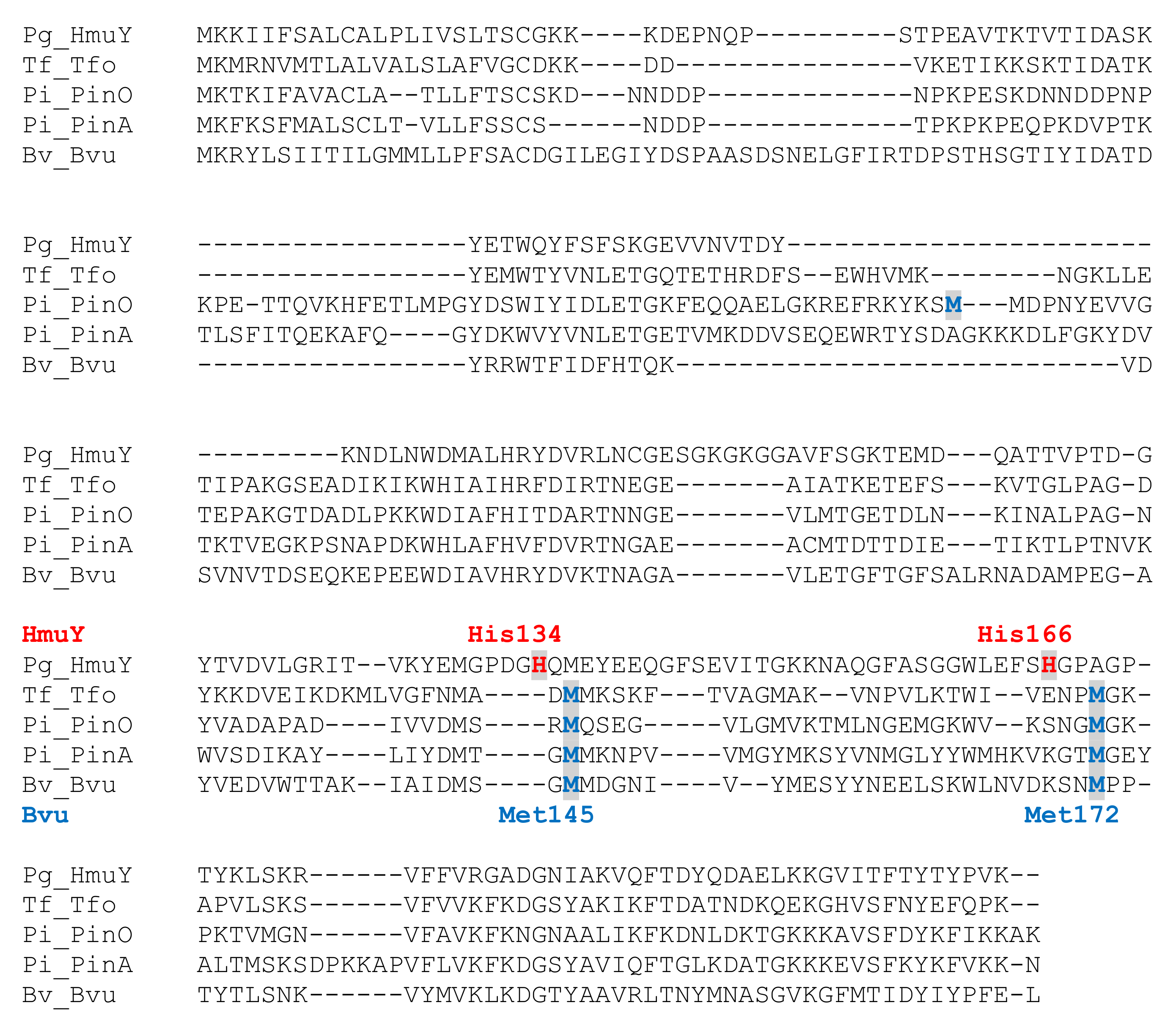 Ijms 22 02237 g002 Ijms 22 02237 g002