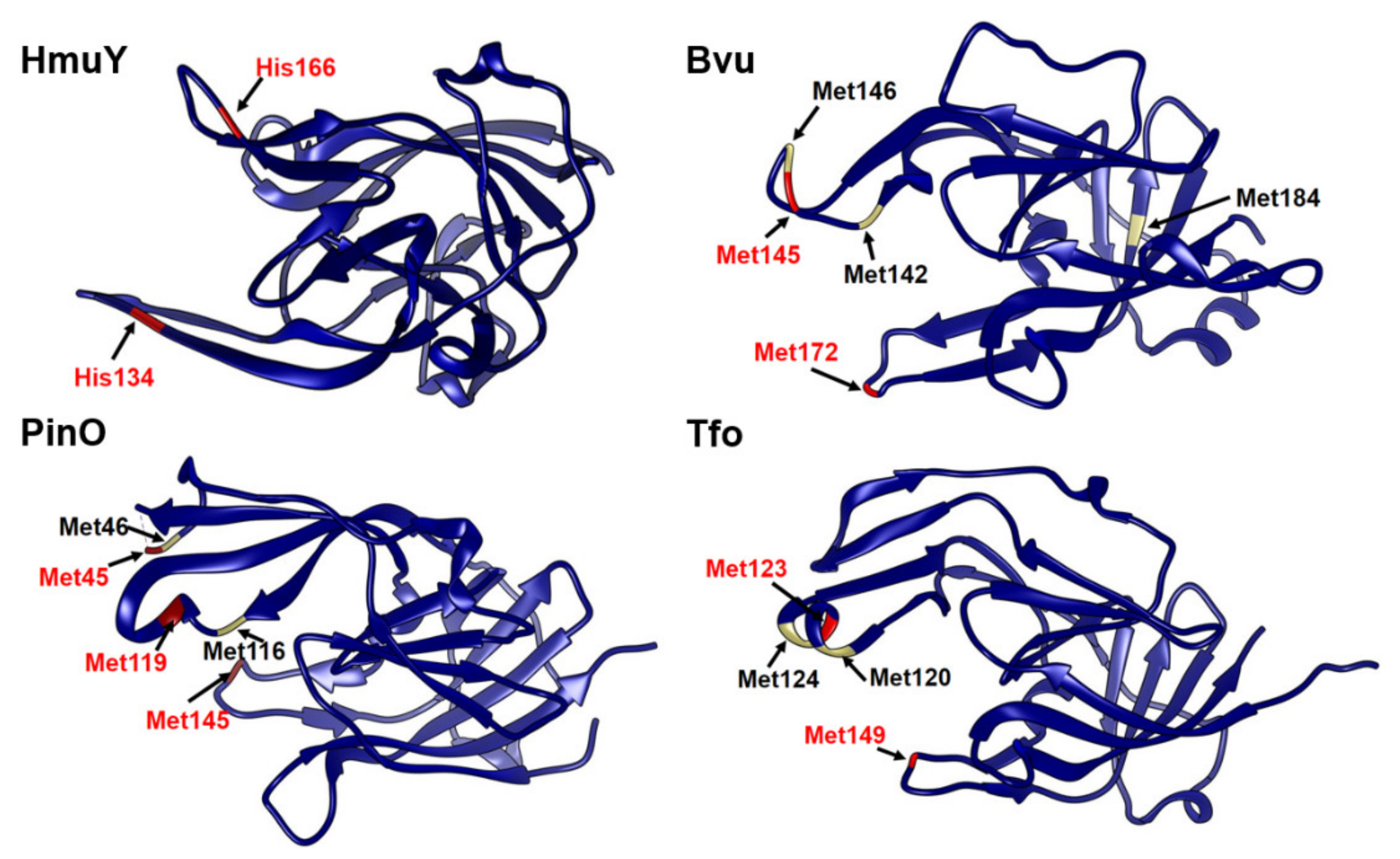 Ijms 22 02237 g003 Ijms 22 02237 g003