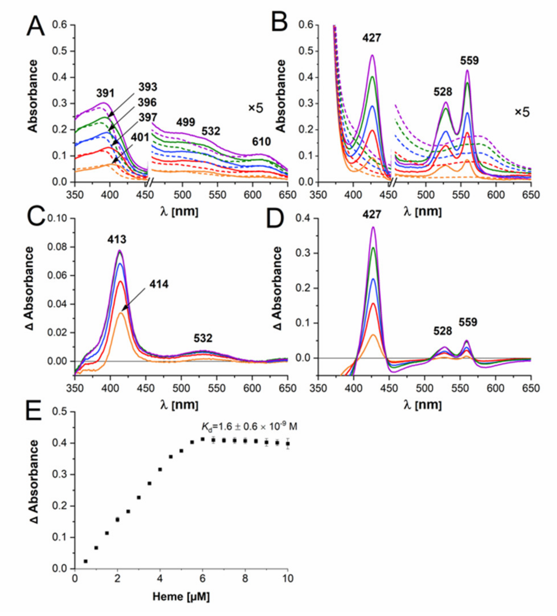 Ijms 22 02237 g004 Ijms 22 02237 g004