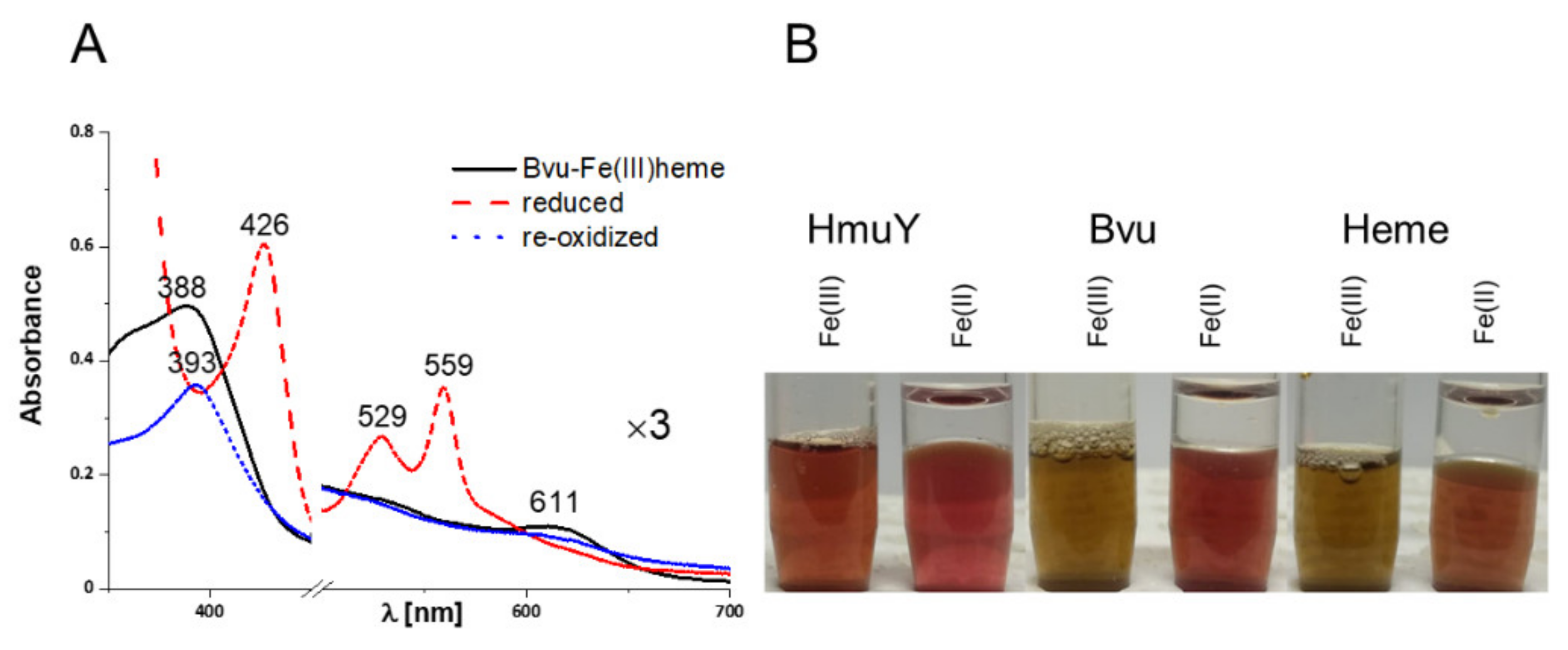 Ijms 22 02237 g005 Ijms 22 02237 g005