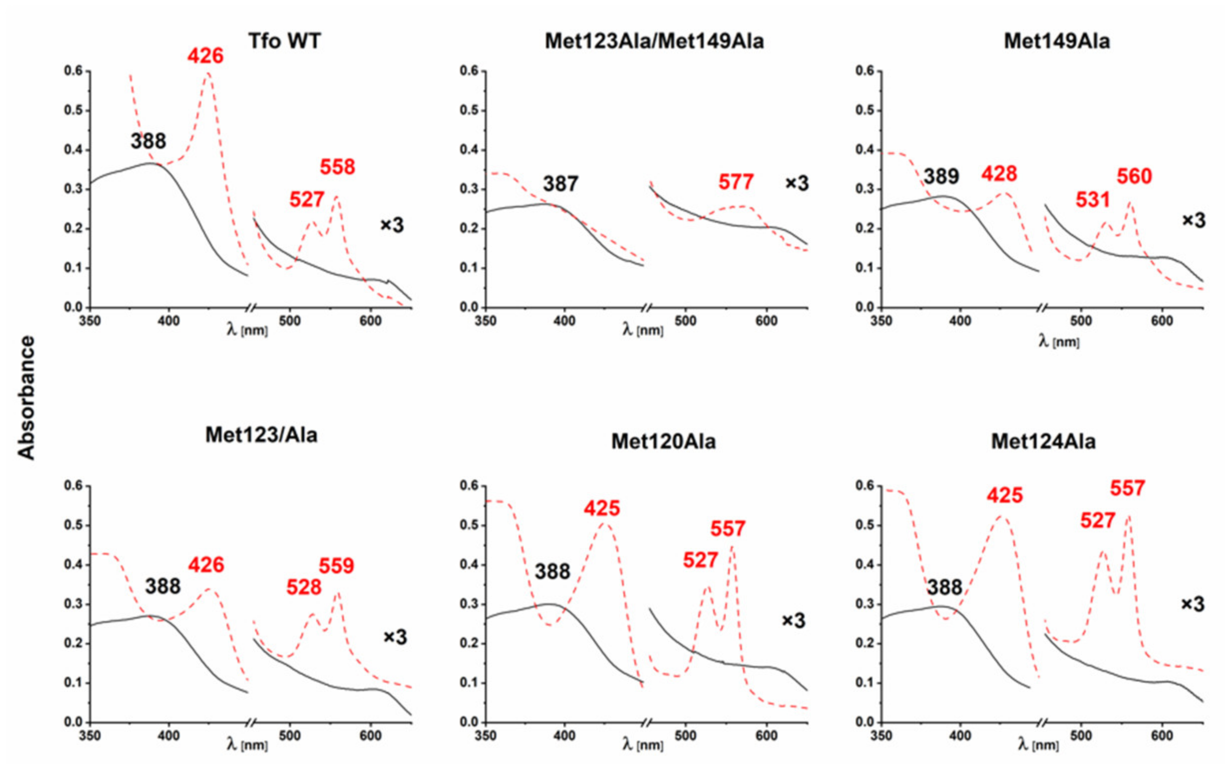 Ijms 22 02237 g006 Ijms 22 02237 g006