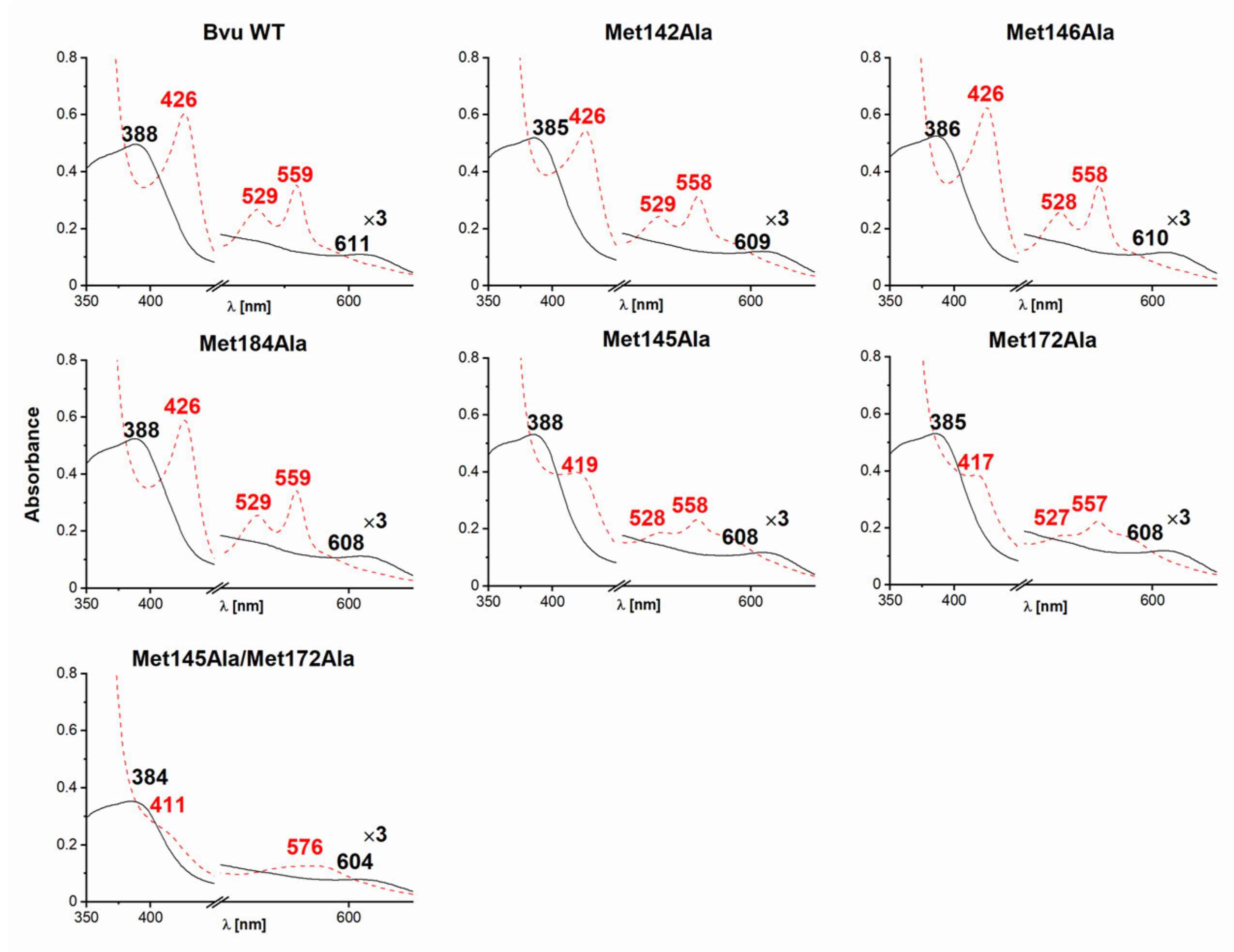 Ijms 22 02237 g007 Ijms 22 02237 g007