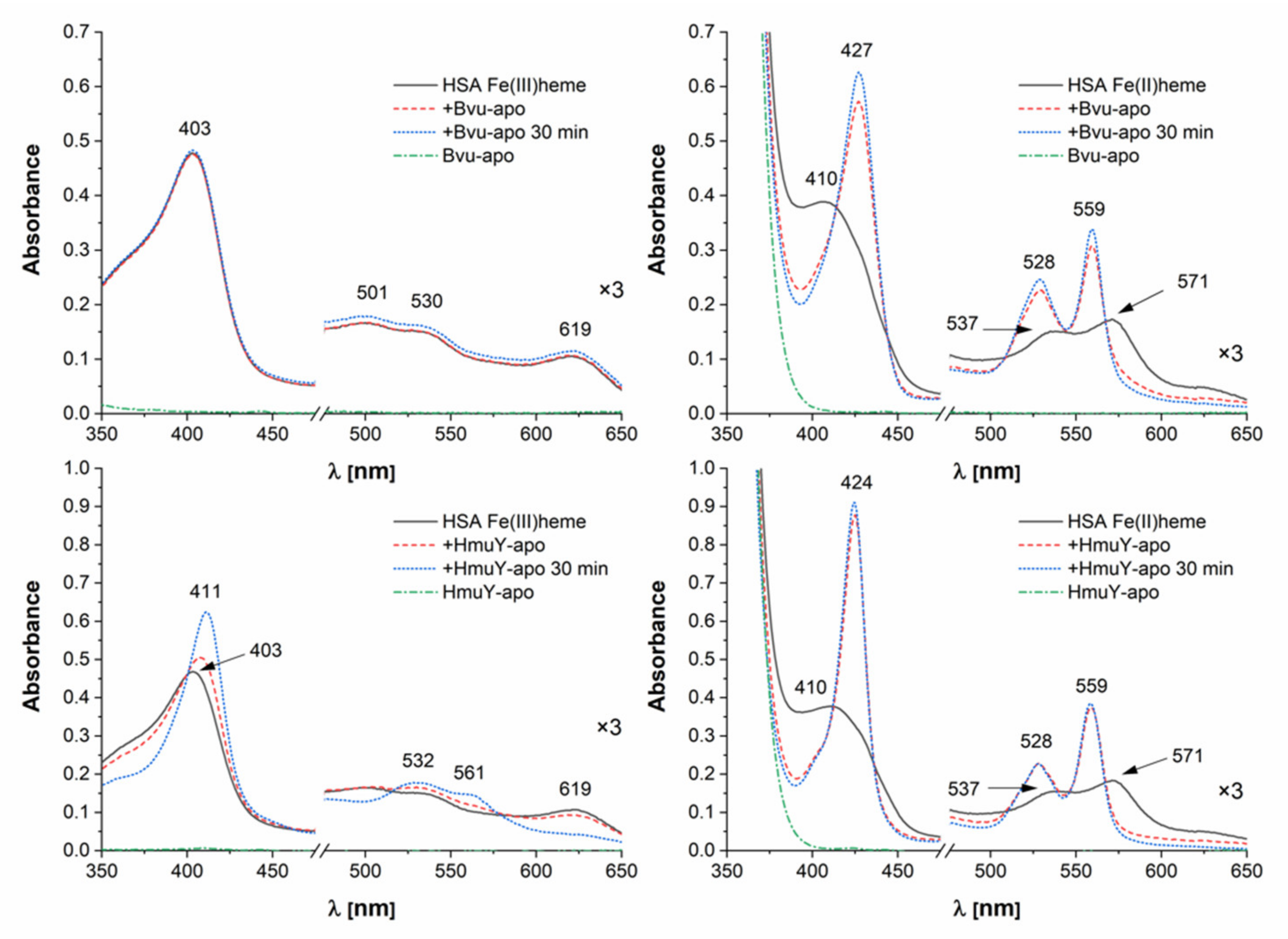 Ijms 22 02237 g008 Ijms 22 02237 g008