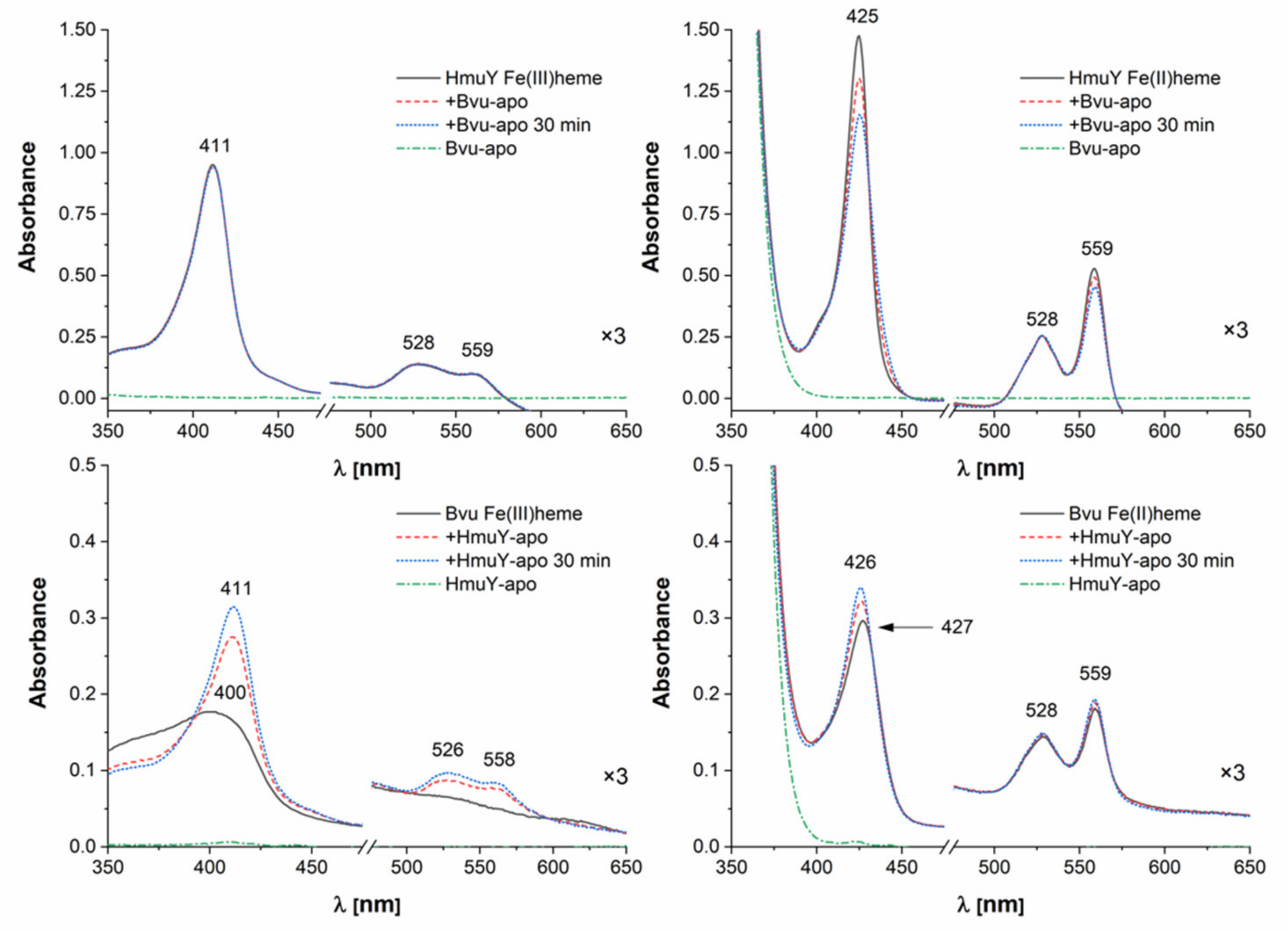 Ijms 22 02237 g009 Ijms 22 02237 g009