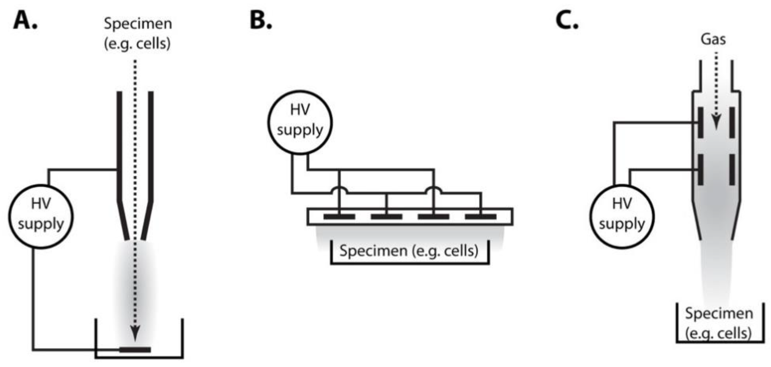 Ijms 22 02247 g001 Ijms 22 02247 g001