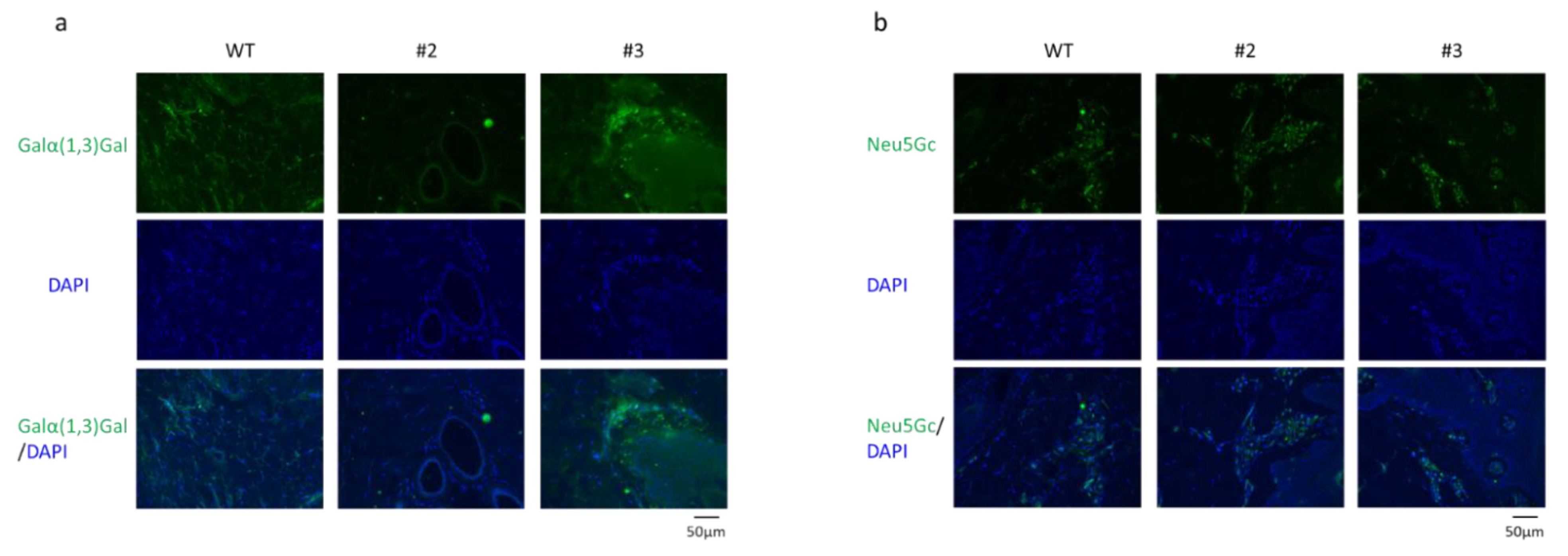 Ijms 22 02249 g003 Ijms 22 02249 g003