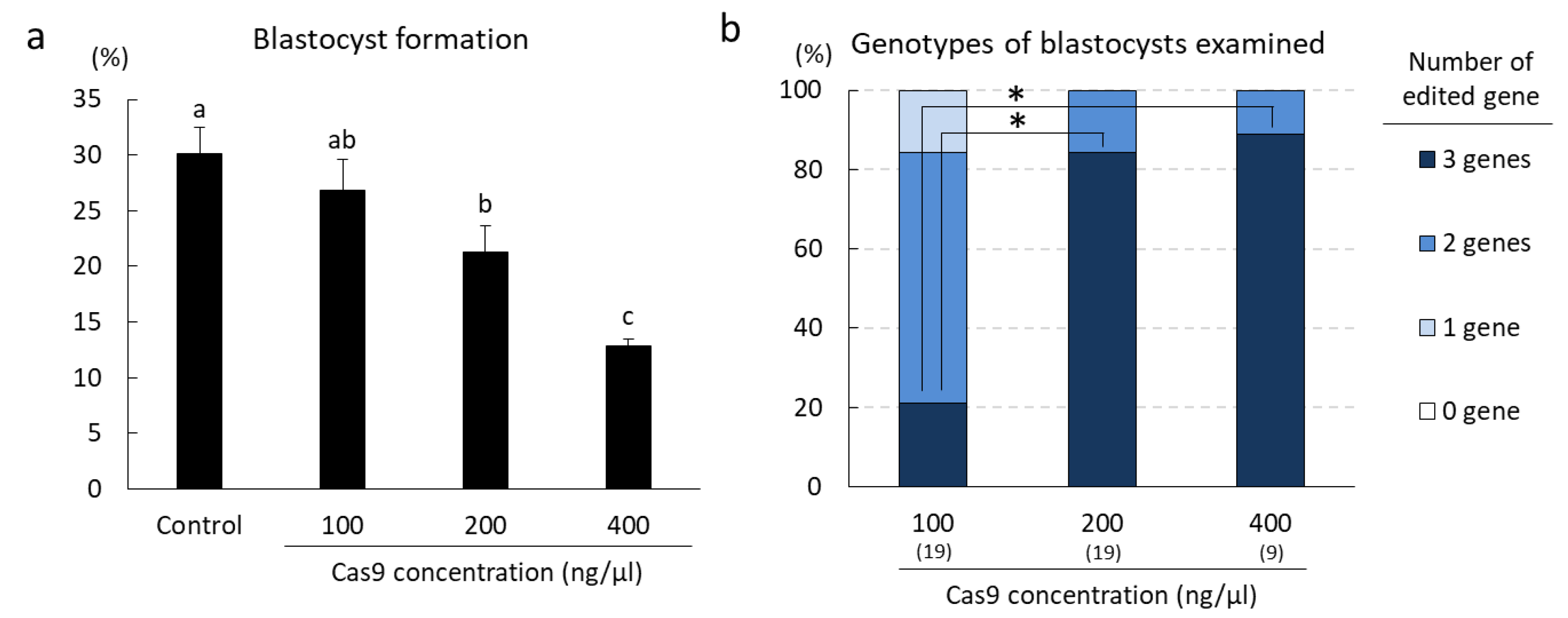 Ijms 22 02249 g004 Ijms 22 02249 g004