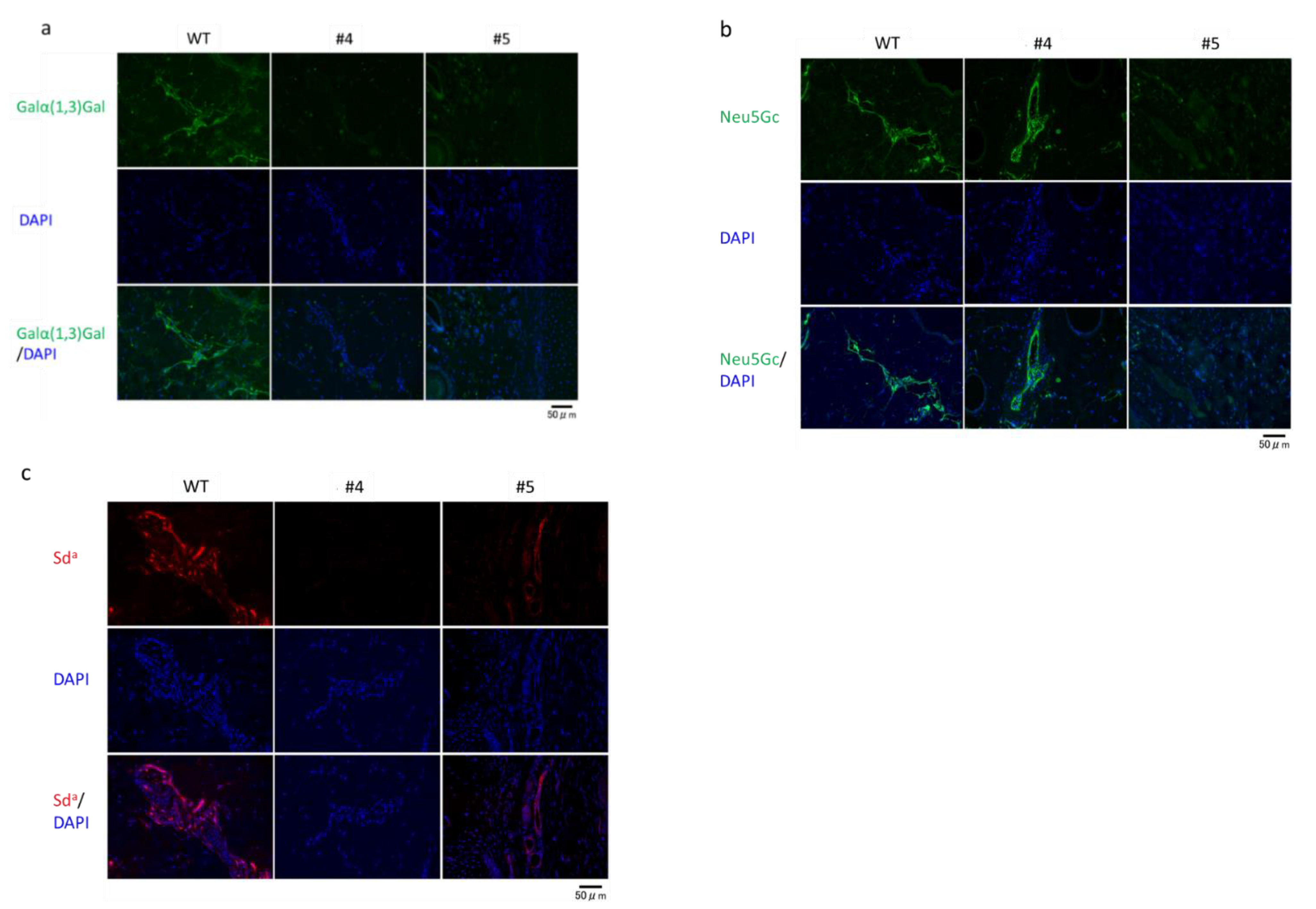 Ijms 22 02249 g006 Ijms 22 02249 g006