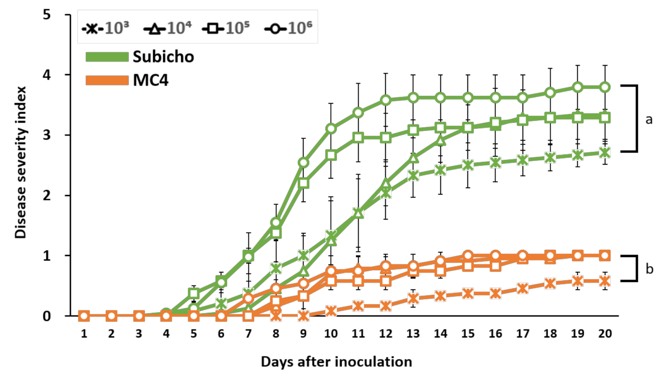 Ijms 22 02279 g004 Ijms 22 02279 g004