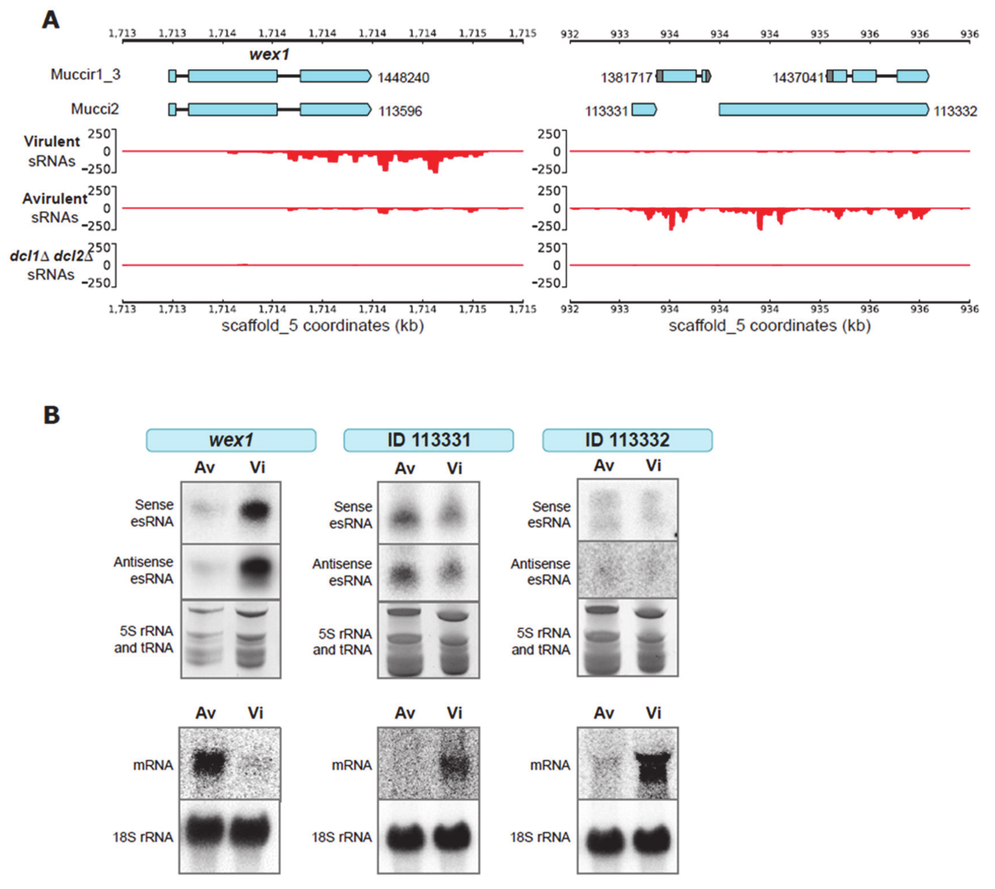 Ijms 22 02282 g002 Ijms 22 02282 g002