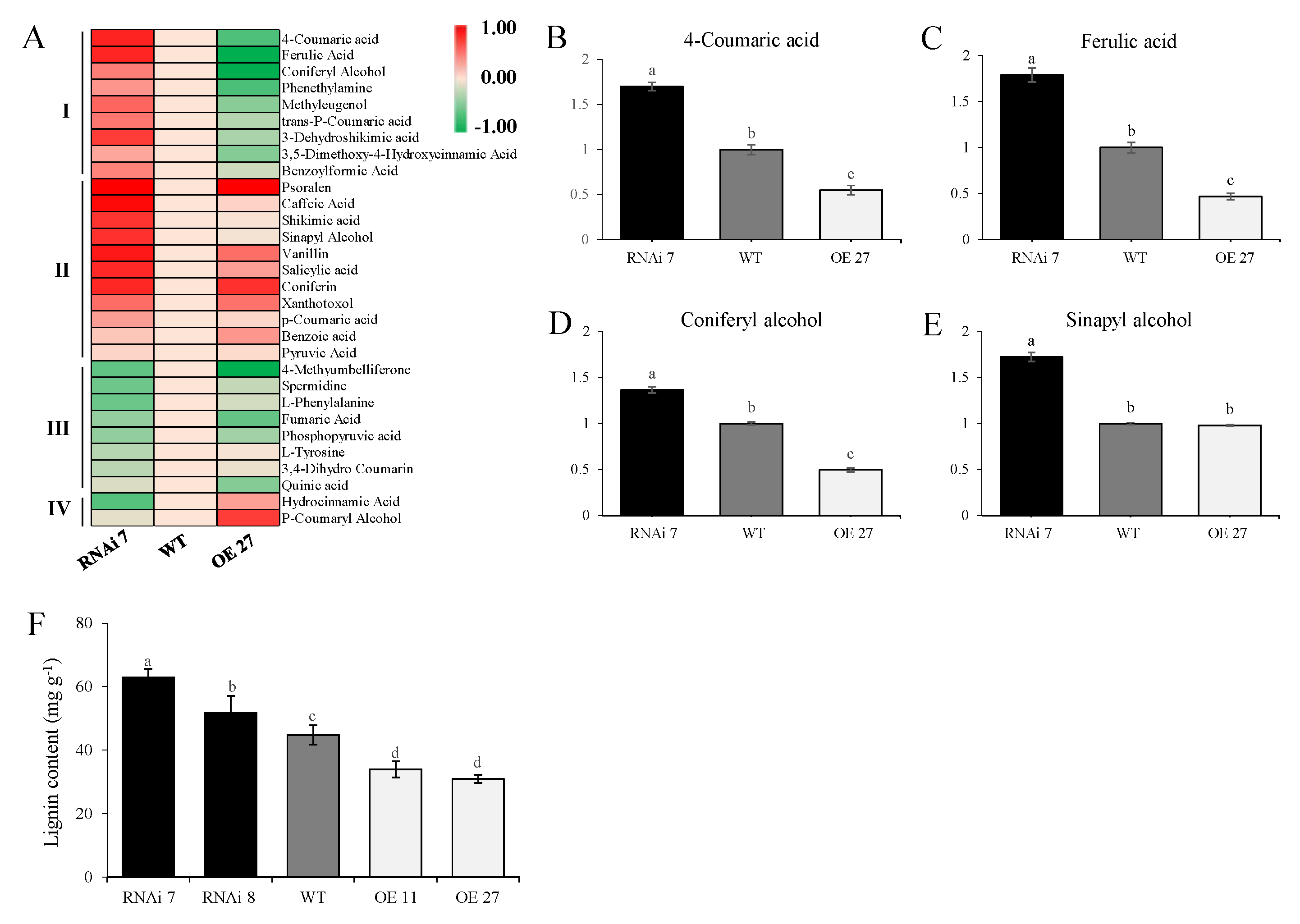Ijms 22 02287 g004 Ijms 22 02287 g004