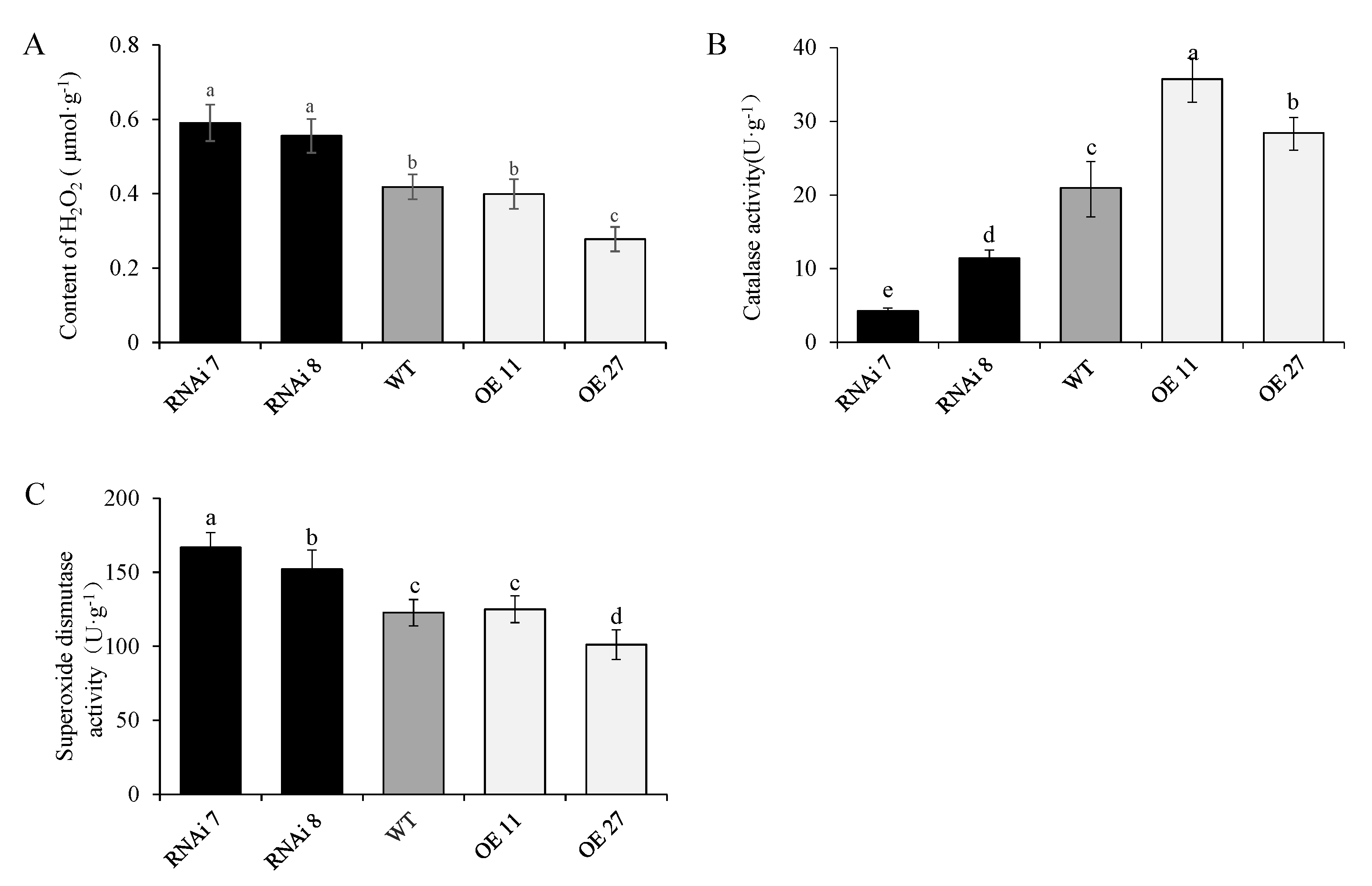 Ijms 22 02287 g007 Ijms 22 02287 g007