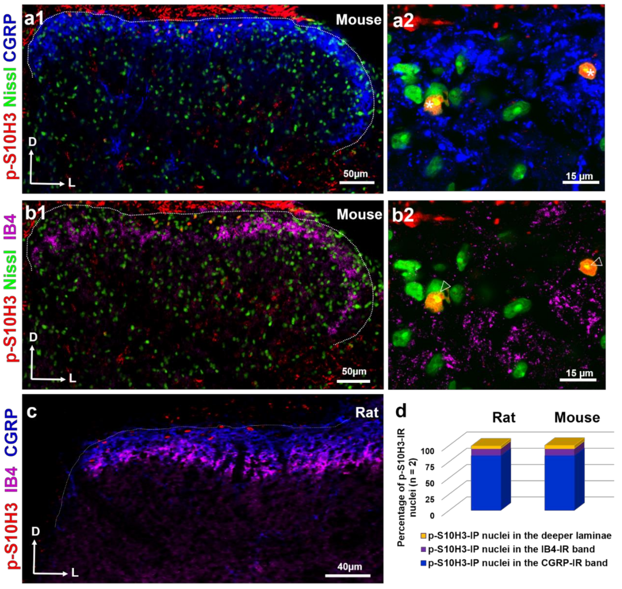 Ijms 22 02297 g002 Ijms 22 02297 g002