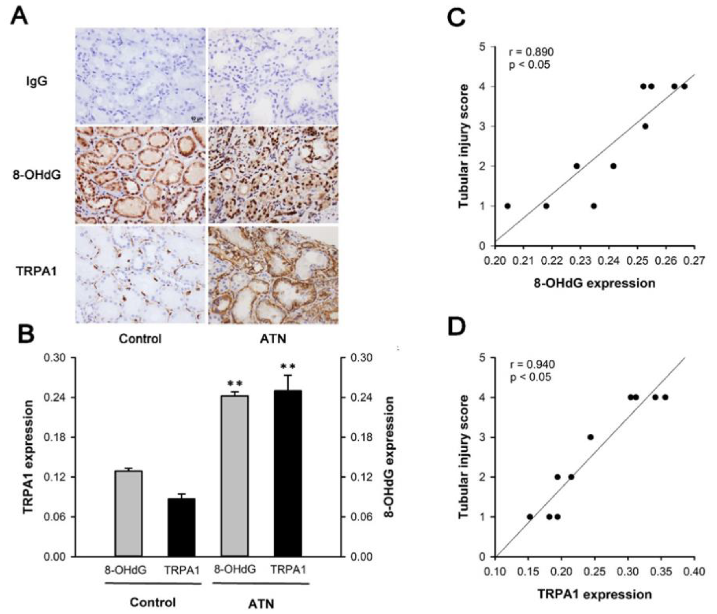 Ijms 22 02309 g001 Ijms 22 02309 g001