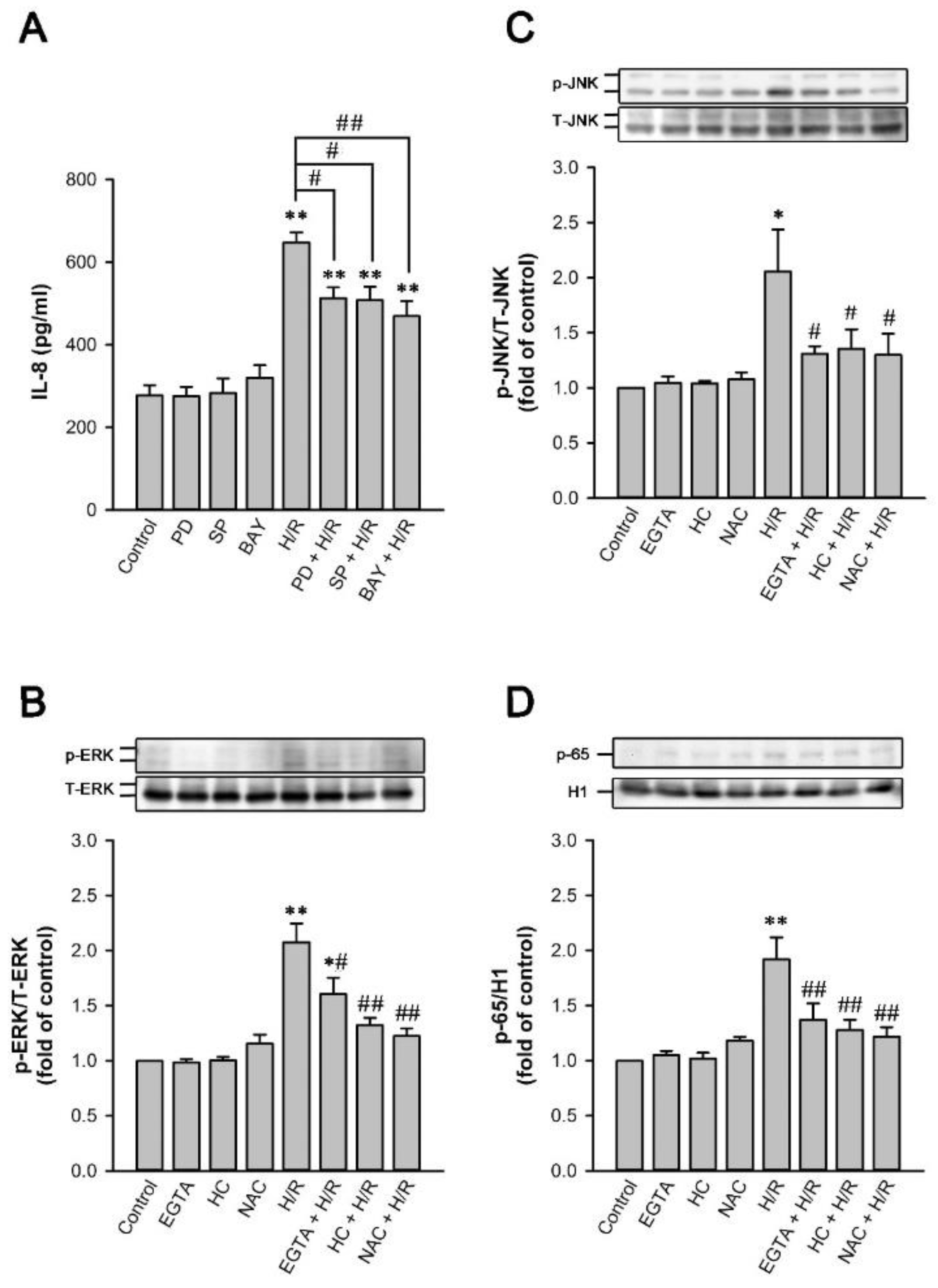 Ijms 22 02309 g009 Ijms 22 02309 g009