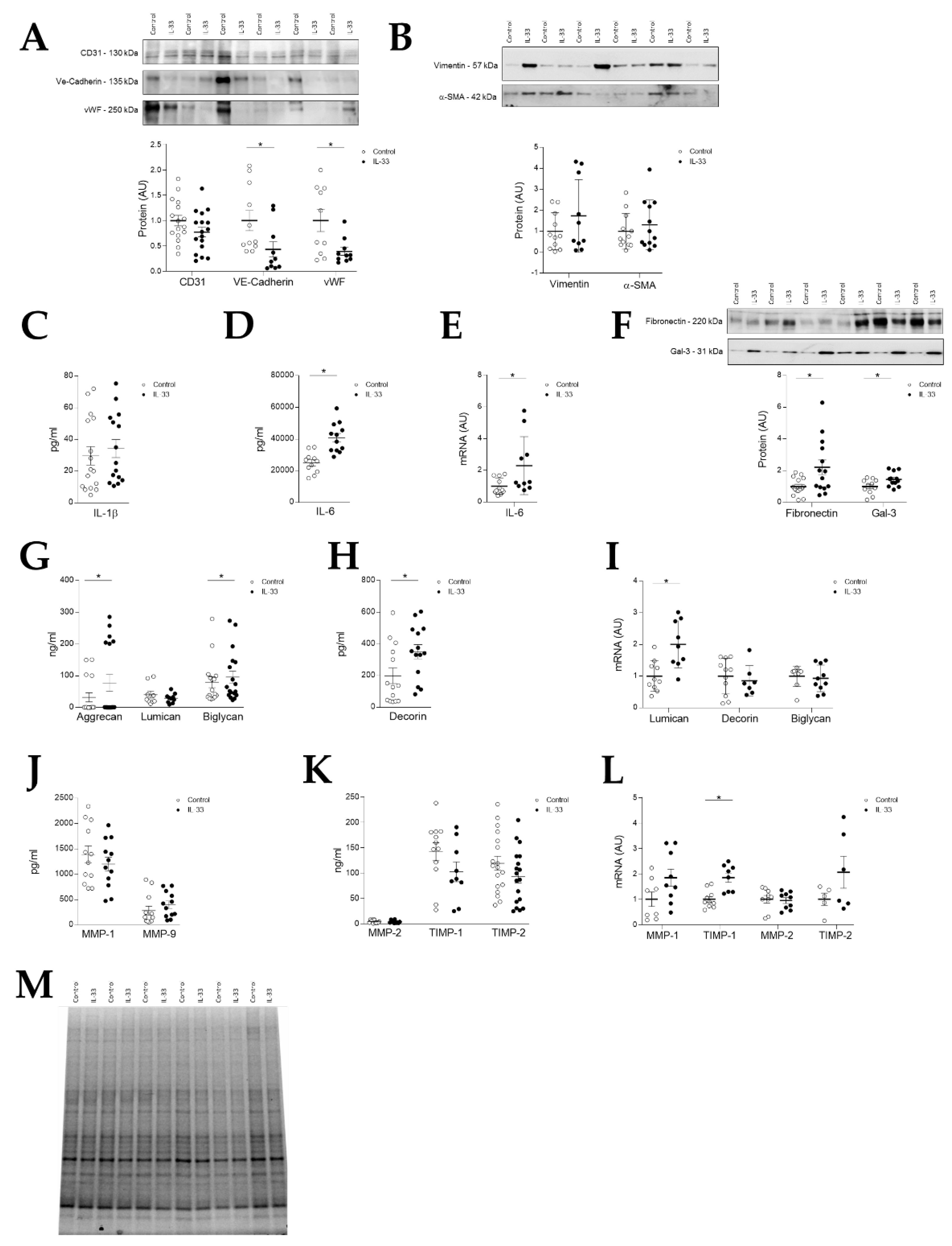 IJMS | Free Full-Text | Activation of the Interleukin-33/ST2 Pathway Exerts  Deleterious Effects in Myxomatous Mitral Valve Disease